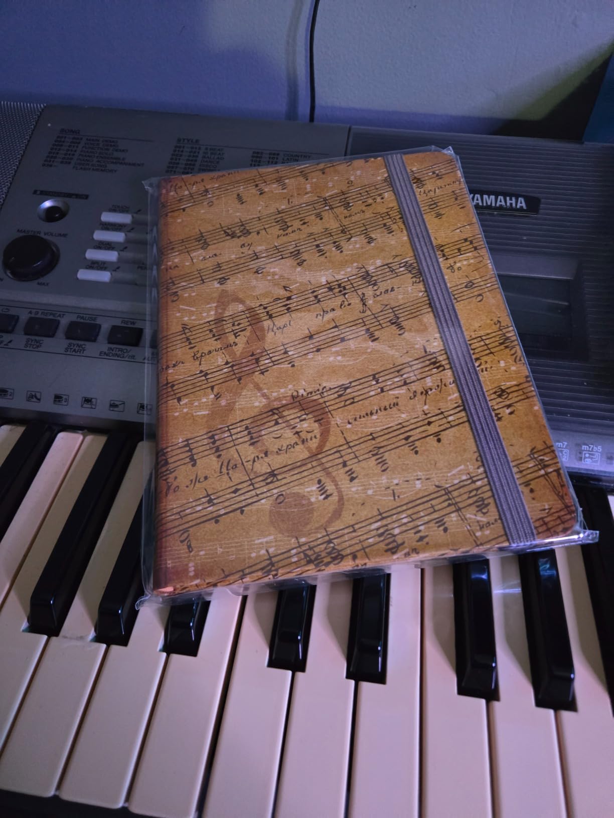 Music Journal (Diary, Notebook) - Customer Photo 1