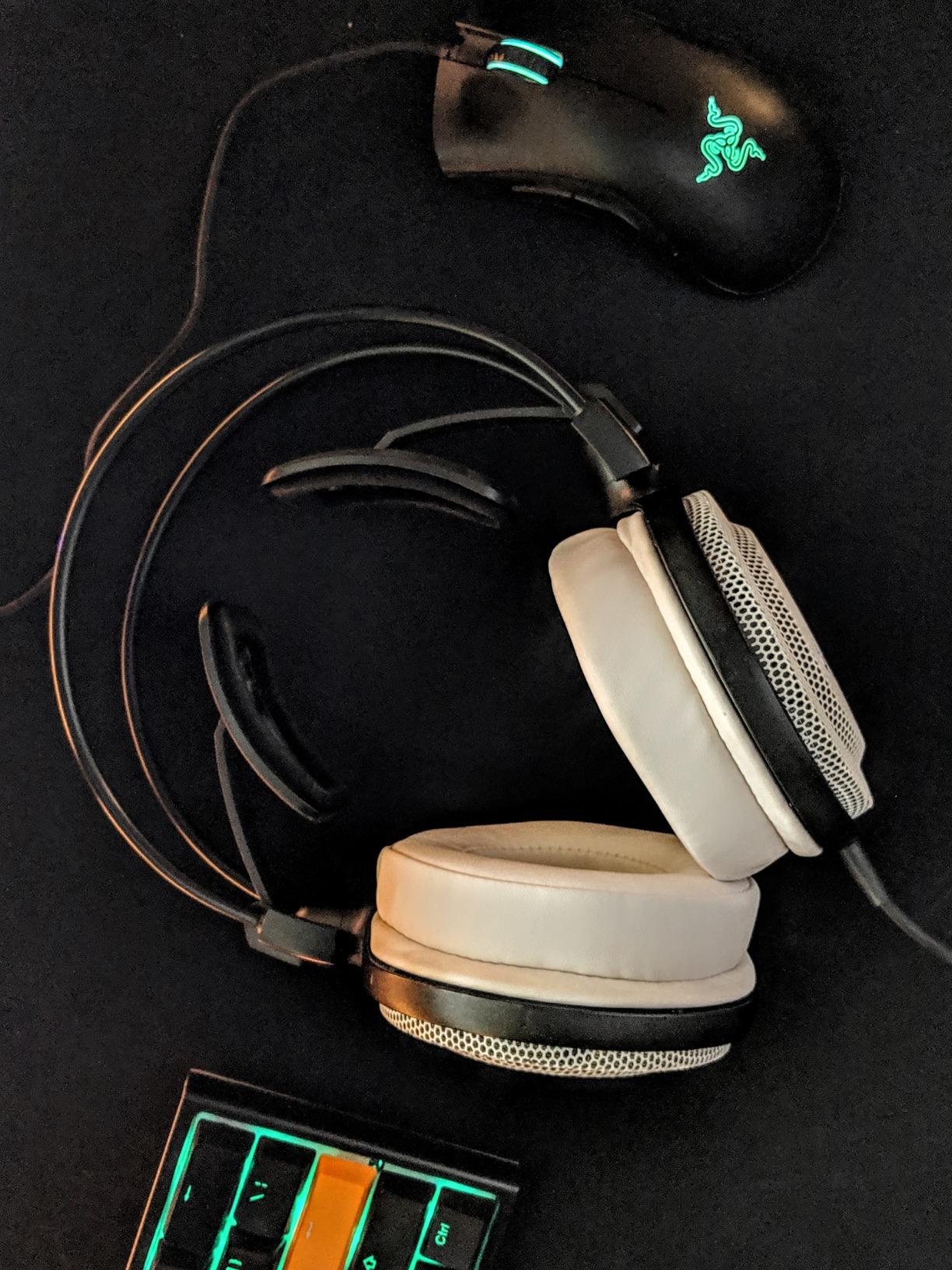 Audio-Technica ATHAD700X Audiophile Open Air Dynamic Headphones Customer Review Audio-Technica ATHAD700X Audiophile Open Air Dynamic Headphones - Customer Photo 1