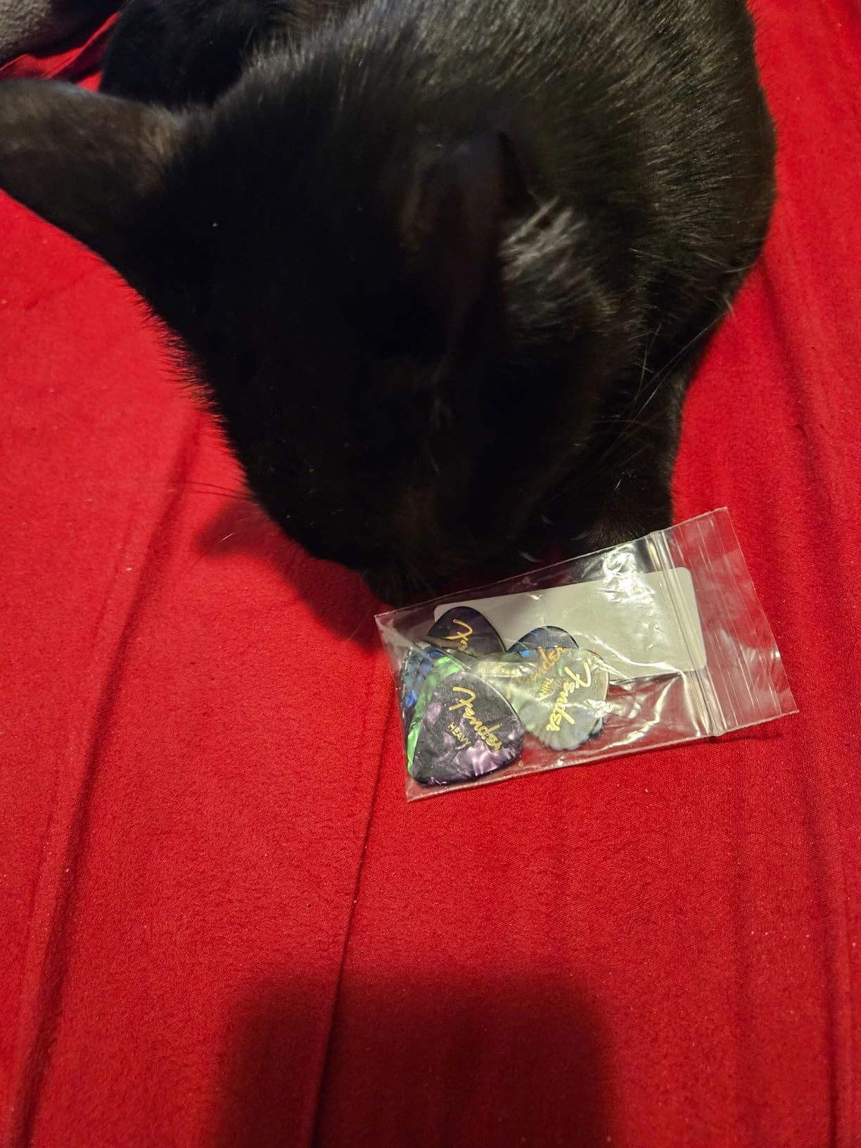 Fender Premium 24 Pack Picks Sampler - Includes Thin, Medium & Heavy Gauges (Austin Bazaar Exclusive) - Customer Photo 2