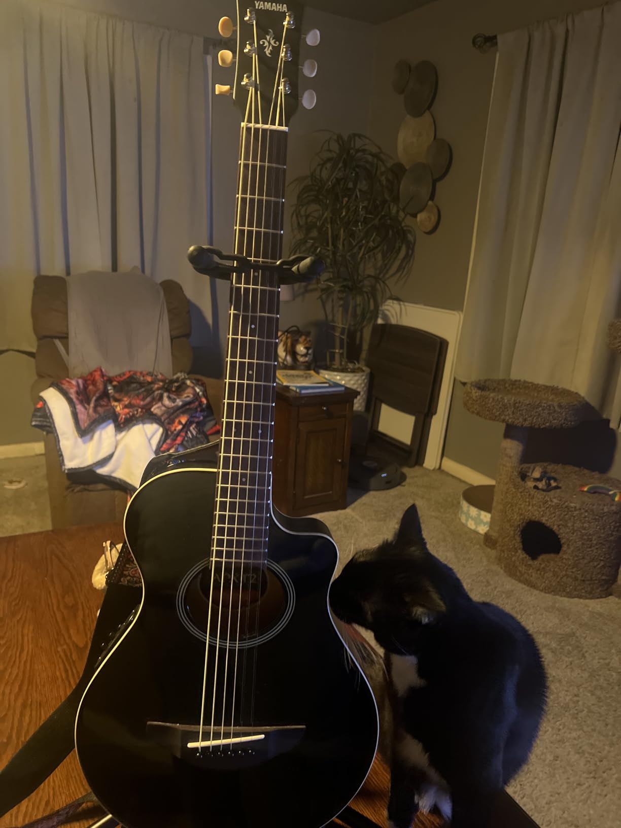 Yamaha APXT2 3/4-Size Acoustic-Electric Guitar - Black - Customer Photo 1
