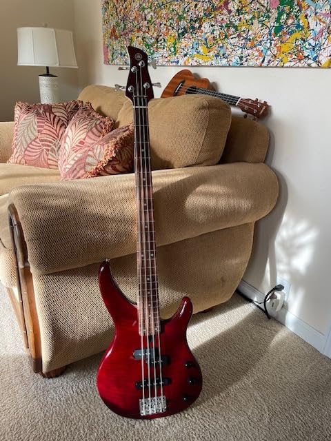Yamaha TRBX174 RM 4-String Electric Bass Guitar Customer Review Yamaha TRBX174 RM 4-String Electric Bass Guitar - Customer Photo 2