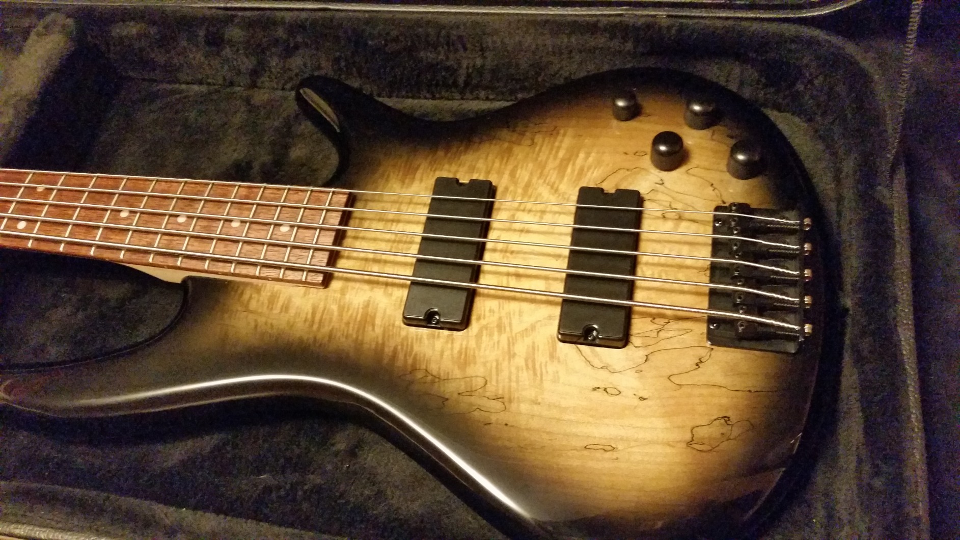 Ibanez GSR205SMNGT - Spalted Maple Top Natural Grey Burst Customer Review Ibanez GSR205SMNGT - Spalted Maple Top Natural Grey Burst - Customer Photo 2