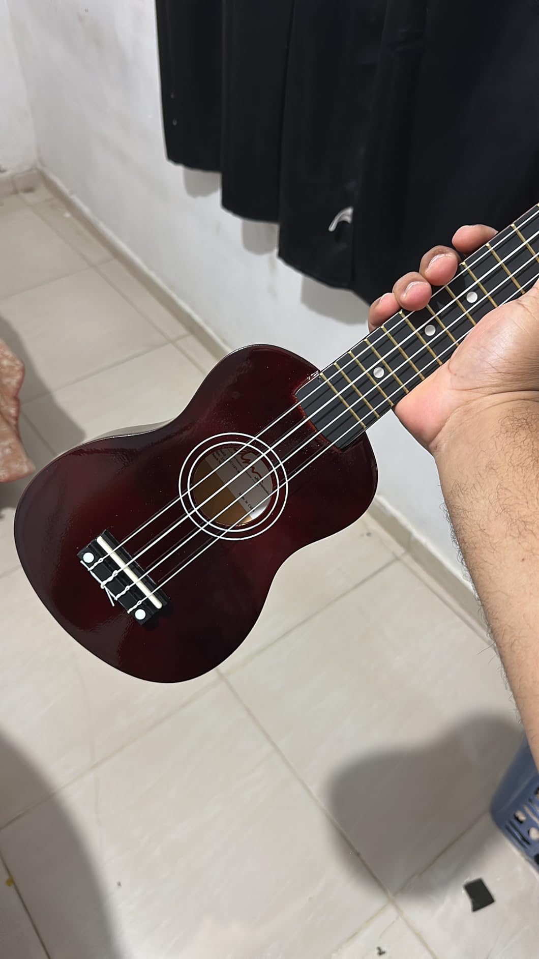 ADM Ukulele for Beginners Hawaiian Wood Ukelele Kit for Kids Adult Student Starter Professional Ukalelee Pack Bundle with Free Lessons Gig Bag Strap Nylon String Tuner (Brown, 21 Inch) - Customer Photo 1