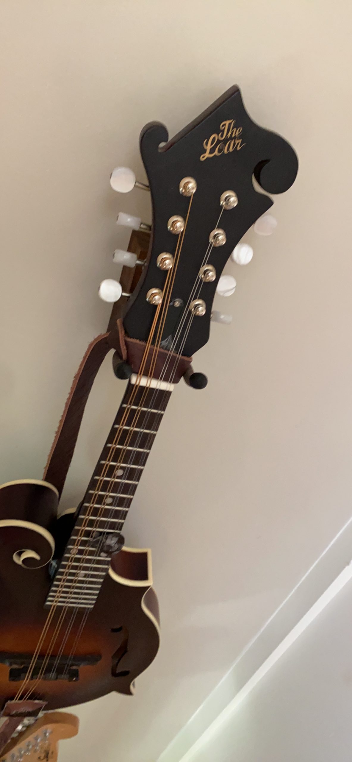 LM-310F-BRB Honey Creek F-Style Mandolin Customer Review LM-310F-BRB Honey Creek F-Style Mandolin - Customer Photo 2