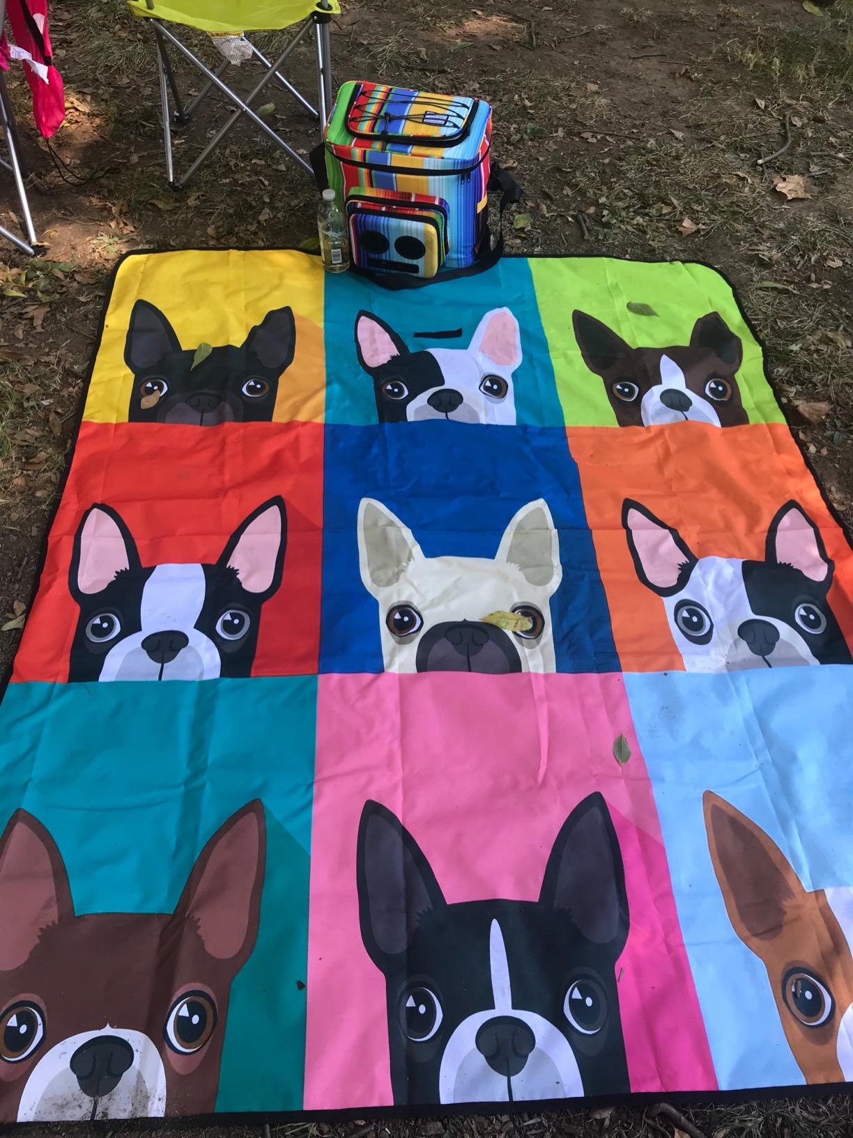 The #1 Cooler with Speakers & Subwoofer (Bluetooth, 20-Watt) for Parties/Festivals/Boat/Beach. Rechargeable Speaker Cooler, Works with iPhone & Android (Rainbow) - Customer Photo 1