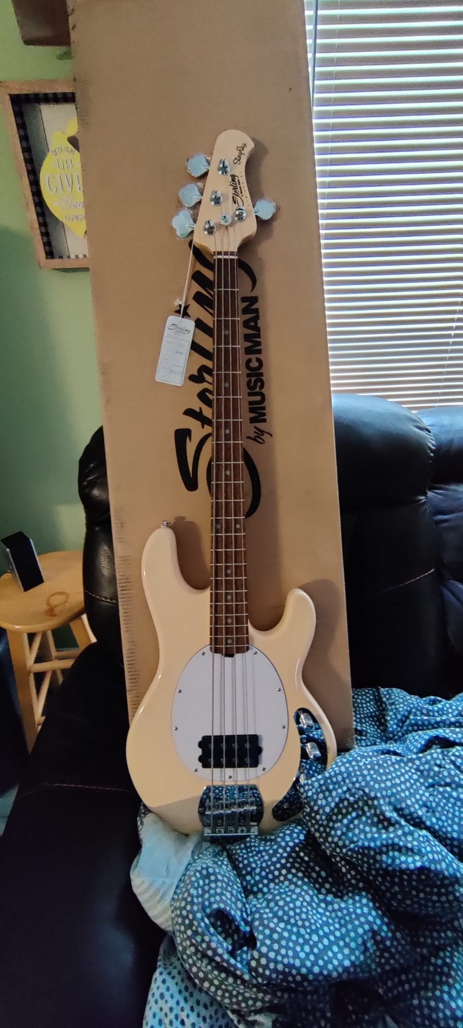 Sterling by Music Man StingRay Ray5 Bass Guitar in Walnut Satin, 5-String - Customer Photo 1