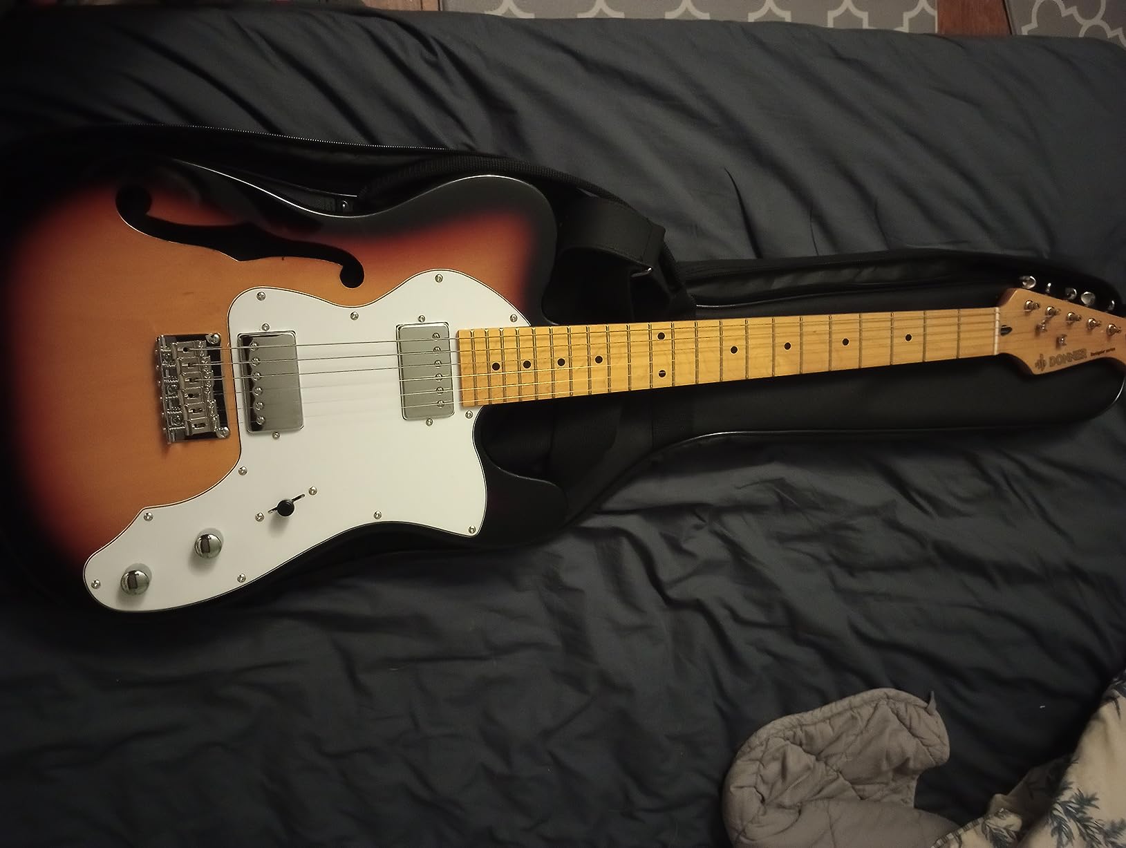 Donner 39 Inch Jazz Electric Guitar TL Thinline F Hole Beginner Full Size Hollow Guitar with H-H Pickups,Bag, Strap, Cable,Sunburst(DJC-1000S) - Customer Photo 1