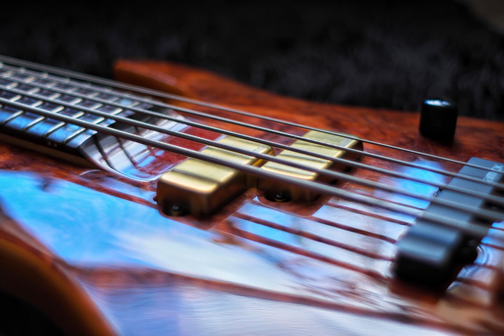 EMG Les Claypool Pachyderm Gold PA Signature Bass Pickup Set (7292.00) - Customer Photo 1
