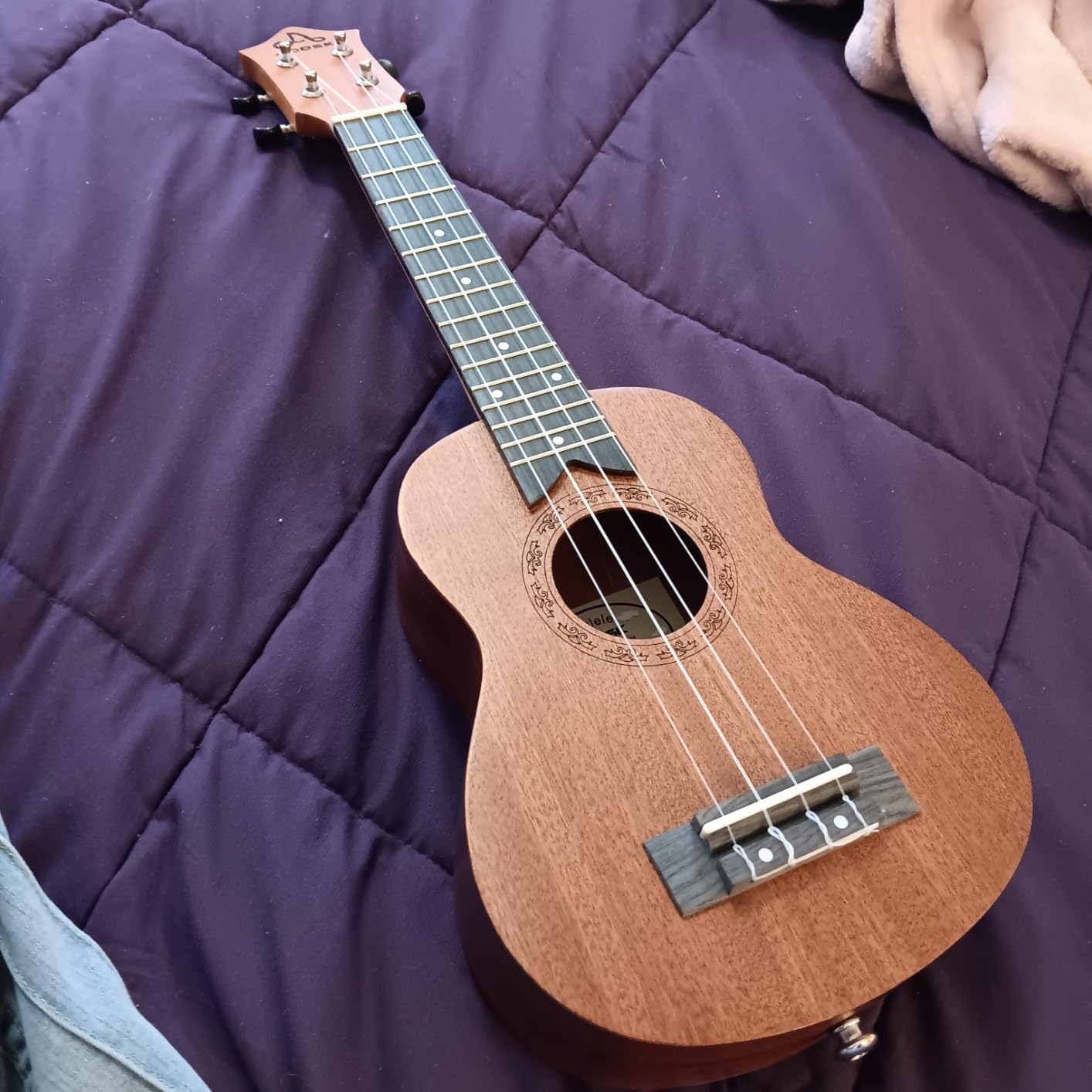 AODSK Soprano Ukulele for Beginner 21 Inch Ukelele Kit with Gig Bag StrapTuner Nylon String 4 Picks Cloth Online Lesson Holiday Gift - Customer Photo 3