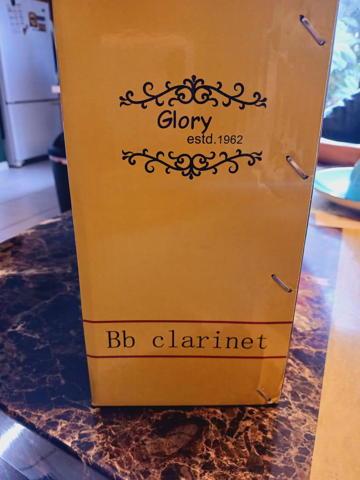 Glory GLY-PBK Professional Ebonite Bb Clarinet with 10 Reeds, Stand, Hard Case, Cleaning Cloth, Cork grease, Mouthpiece Brush and Pad Brush, Black customer photo 2