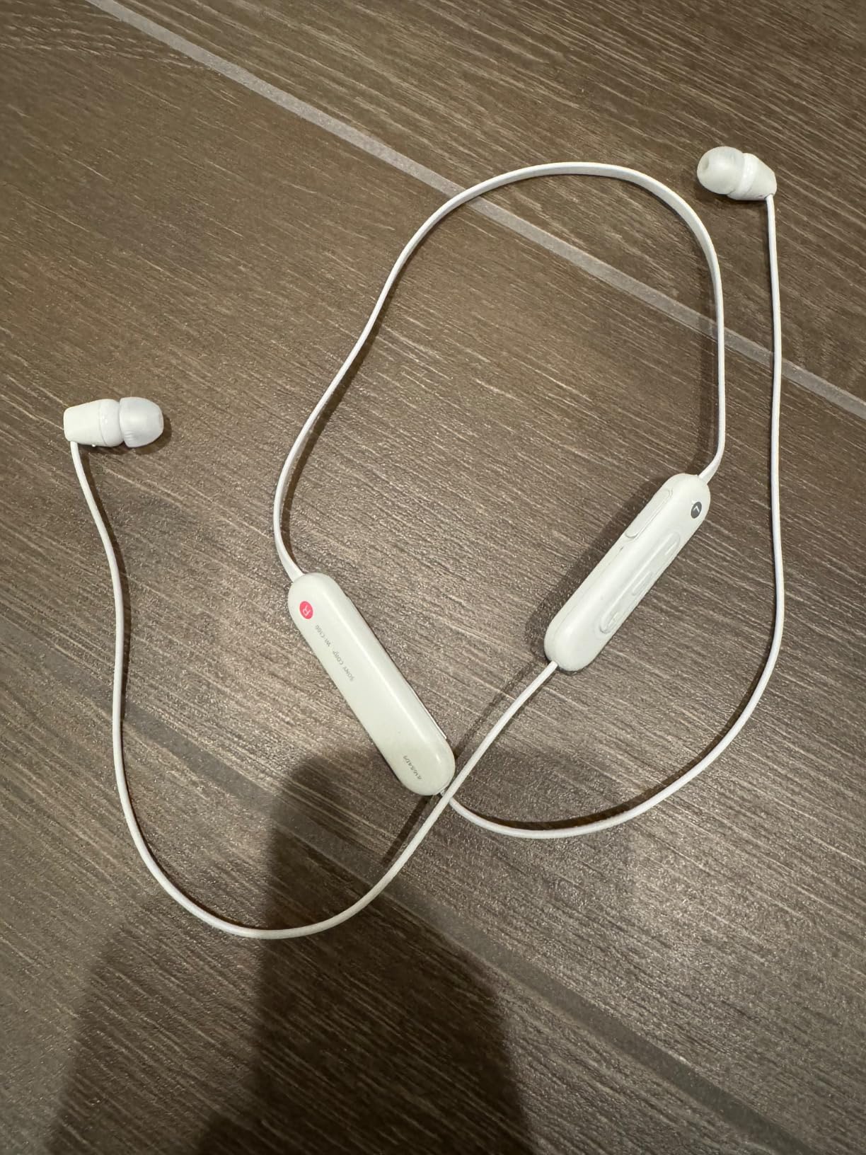 Sony WI-C100 Wireless in-Ear Bluetooth Headphones with Built-in Microphone, White - Customer Photo 3