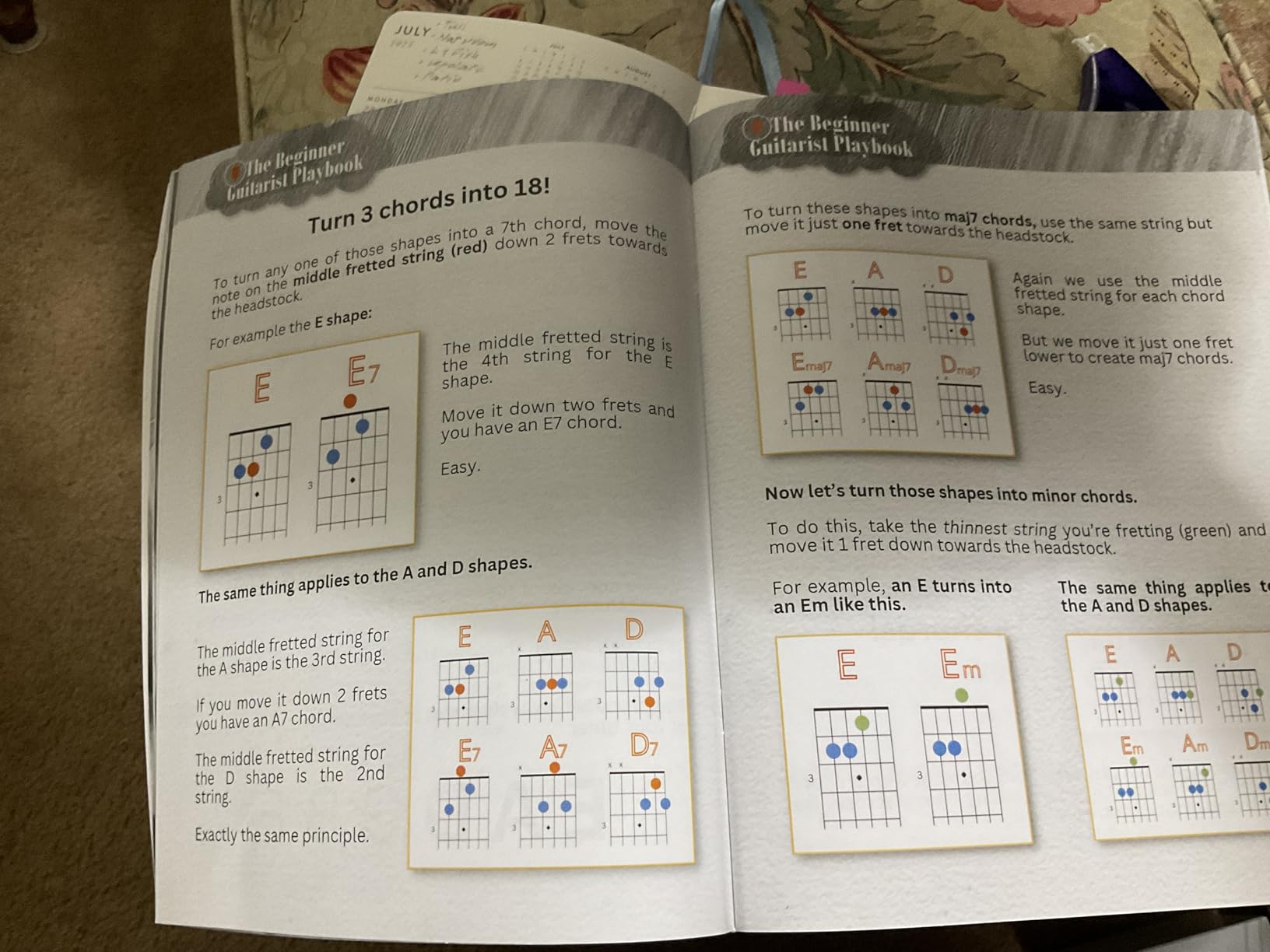 The Beginner Guitarist Playbook - Customer Photo 1