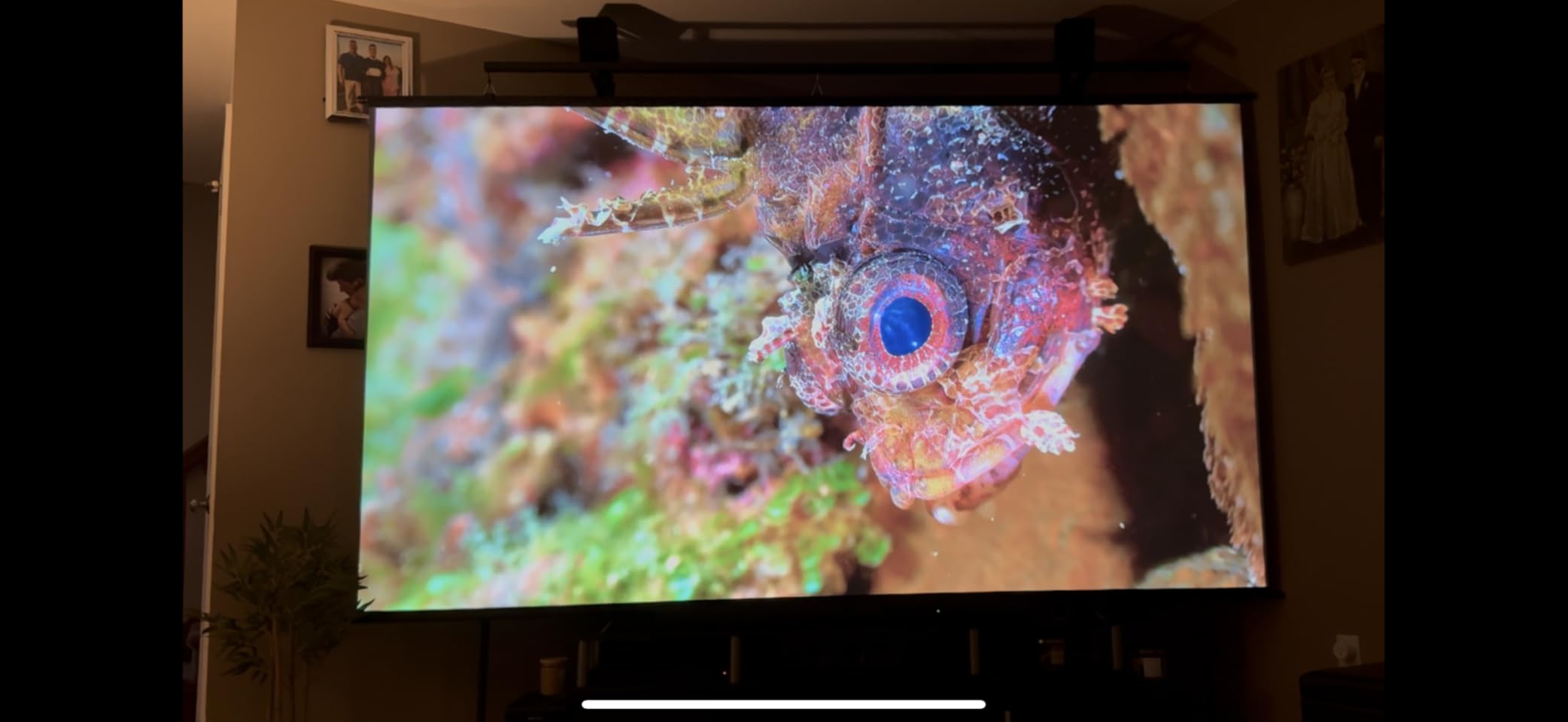 4K Projector with Wifi and Bluetooth, ELEPHAS Outdoor Movie Projector with NETFLIX/Prime Video/YouTube Built-in, 100,000+ Apps Supported, Video Projector Compatible with HDMI/USB/iOS/Android/Windows - Customer Photo 3
