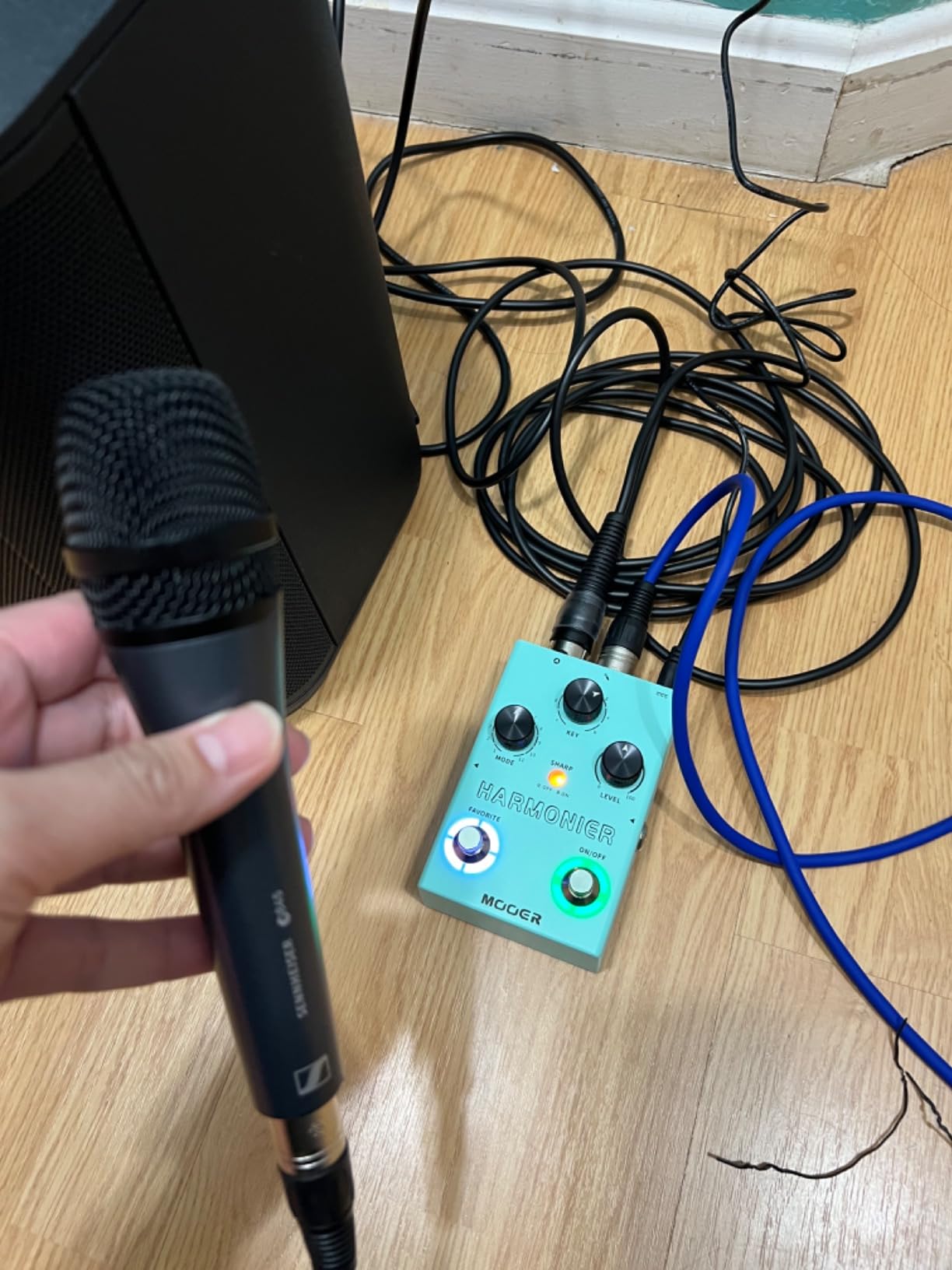 MOOER Harmonier Vocal Effects Processor Guitar Voice Pedal Vocal Stompbox Microphone Amplifier for Live Singing Streaming Recording (MVP2) - Customer Photo 2