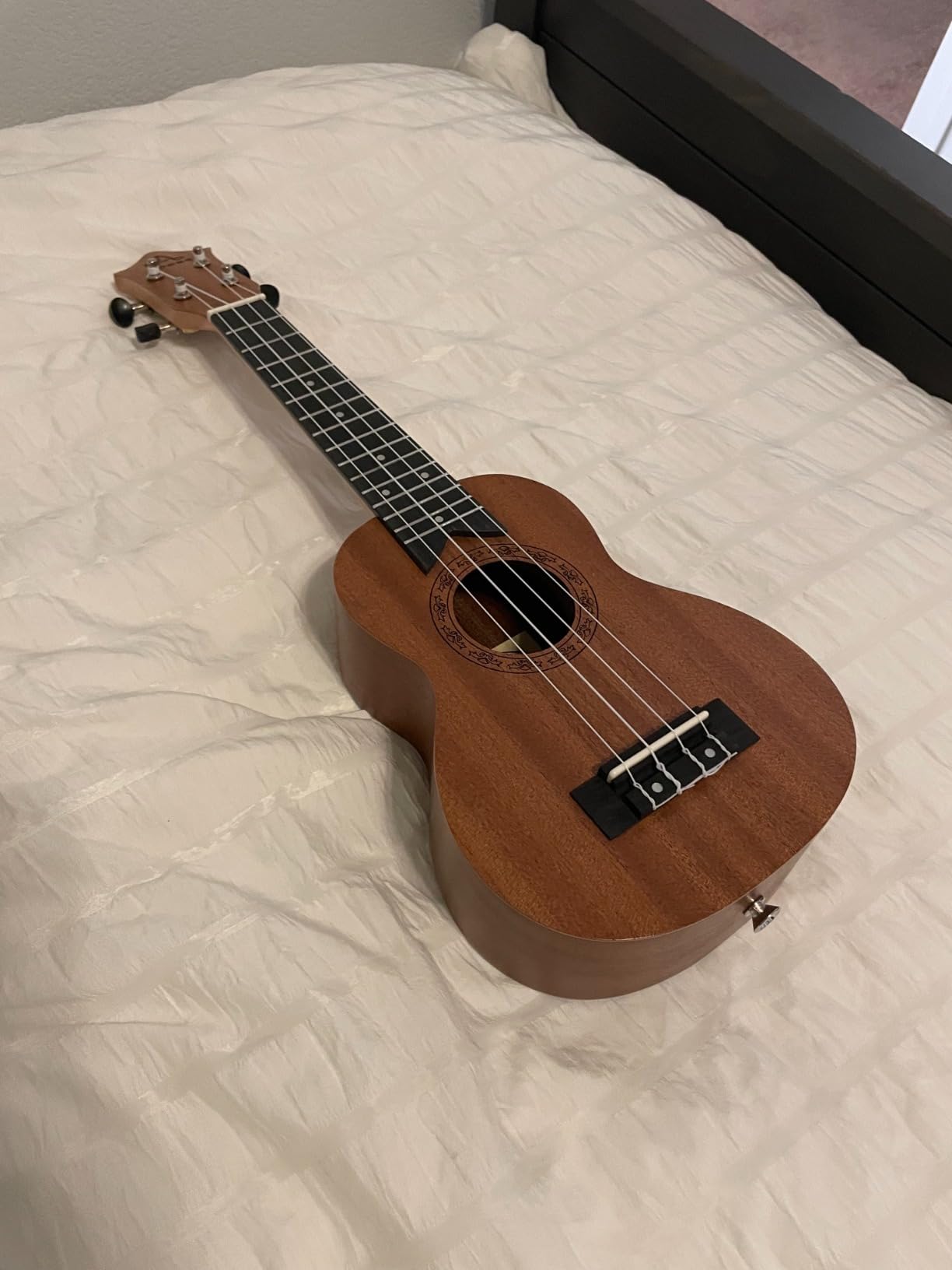 AODSK Soprano Violet Ukulele for Beginner 21 Inch Ukelele with Gig Bag Strap Nylon String 4 Picks Holiday Gift - Customer Photo 2