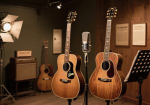 Robert Johnson Guitars and Gear
