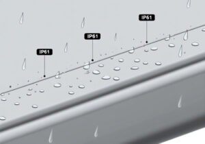 What is IP61