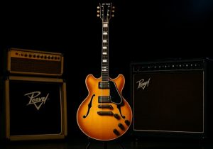 Ted Nugent Guitars and Gear