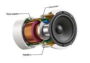 How Speakers Work