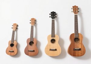 Types of Ukuleles