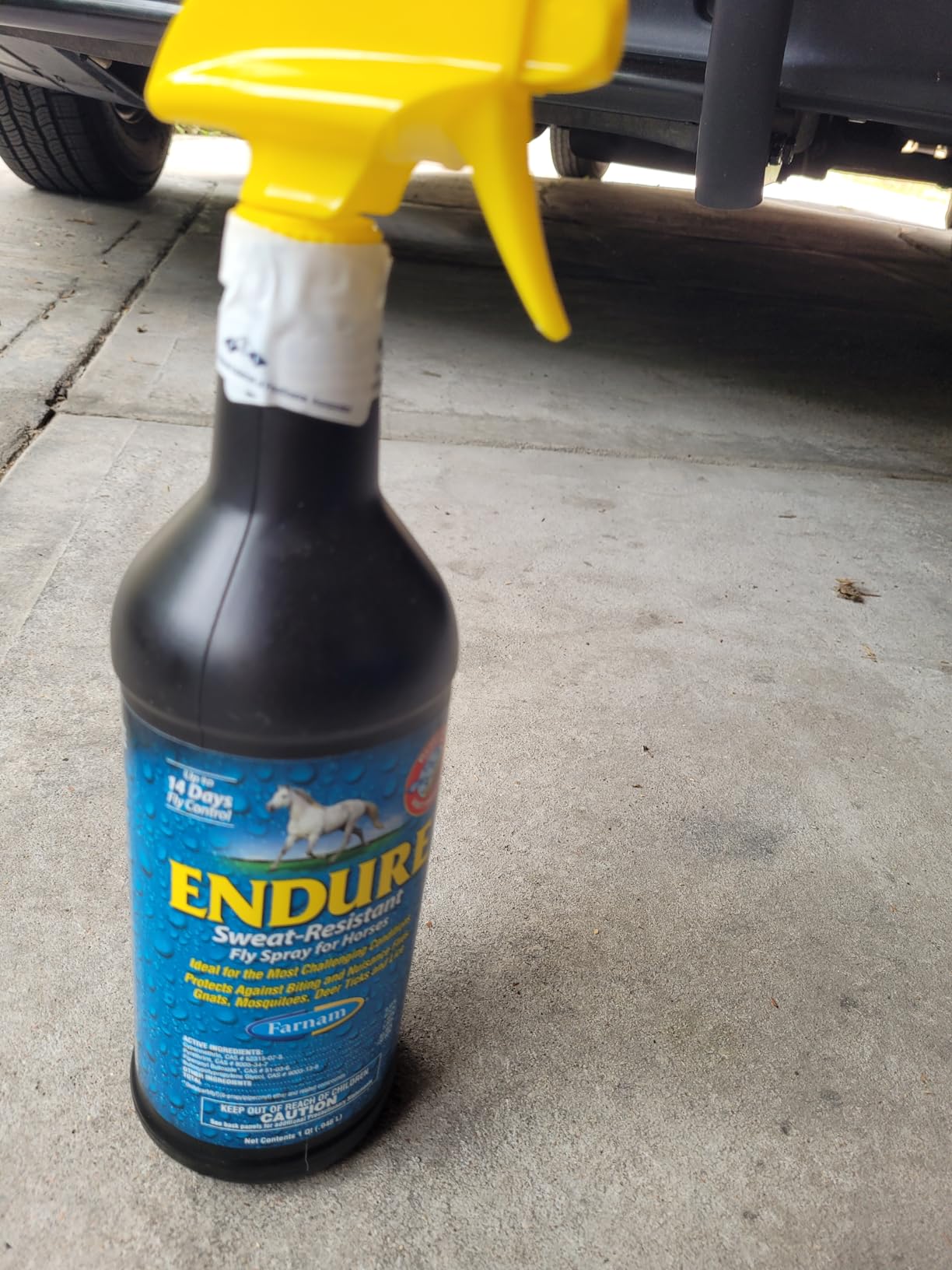 Farnam Endure Sweat-Resistant Fly Spray for Horses, Lasts Up to 14 Days, Protects Against Flies, Gnats, Mosquitoes, Ticks & Lice, 32 oz. - Customer Photo 2