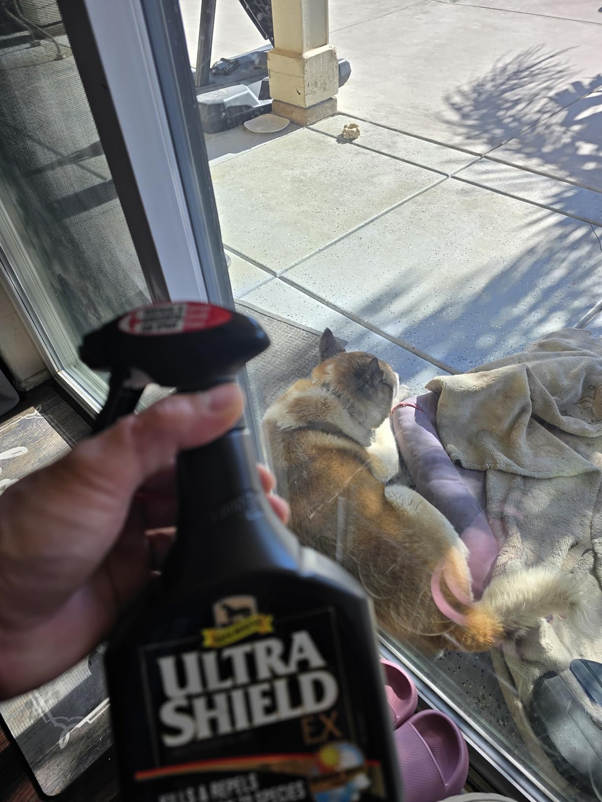 Absorbine UltraShield EX 32oz Sprayer Insecticide, Kills & Repels Flies, Mosquitoes, Ticks, Fleas, Lice, Use on Horses, Dogs, Premises - Customer Photo 1