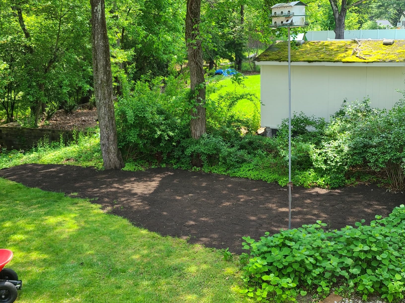 Jonathan Green (11959) Black Beauty Shady Nooks Grass Seed - Cool Season Lawn Seed (7 lb) Customer Review Jonathan Green (11959) Black Beauty Shady Nooks Grass Seed - Cool Season Lawn Seed (7 lb) - Customer Photo 2