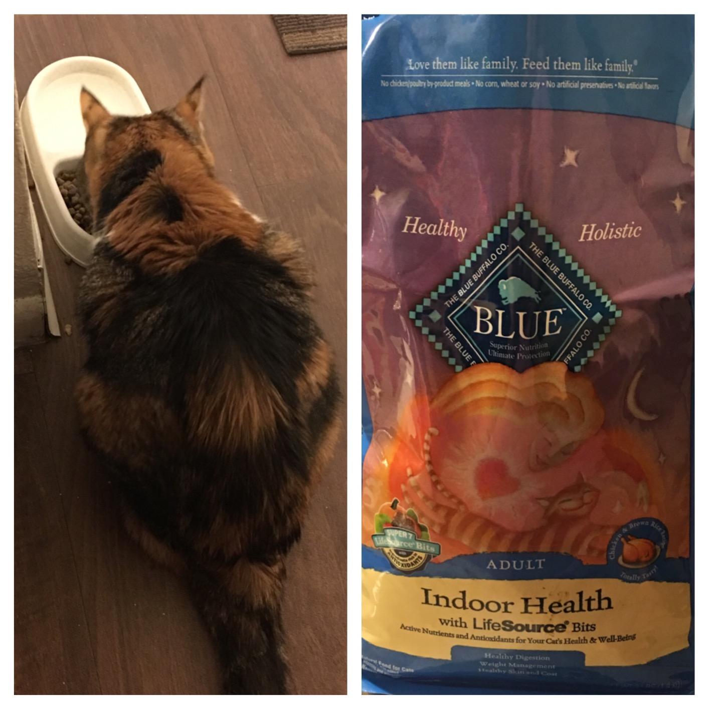 Blue Buffalo Tastefuls Adult Dry Cat Food Indoor Cat Formula, Made in the USA with Natural Ingredients, Chicken & Brown Rice Recipe, 3-lb. Bag Customer Review Blue Buffalo Tastefuls Adult Dry Cat Food Indoor Cat Formula, Made in the USA with Natural Ingredients, Chicken & Brown Rice Recipe, 3-lb. Bag - Customer Photo 3