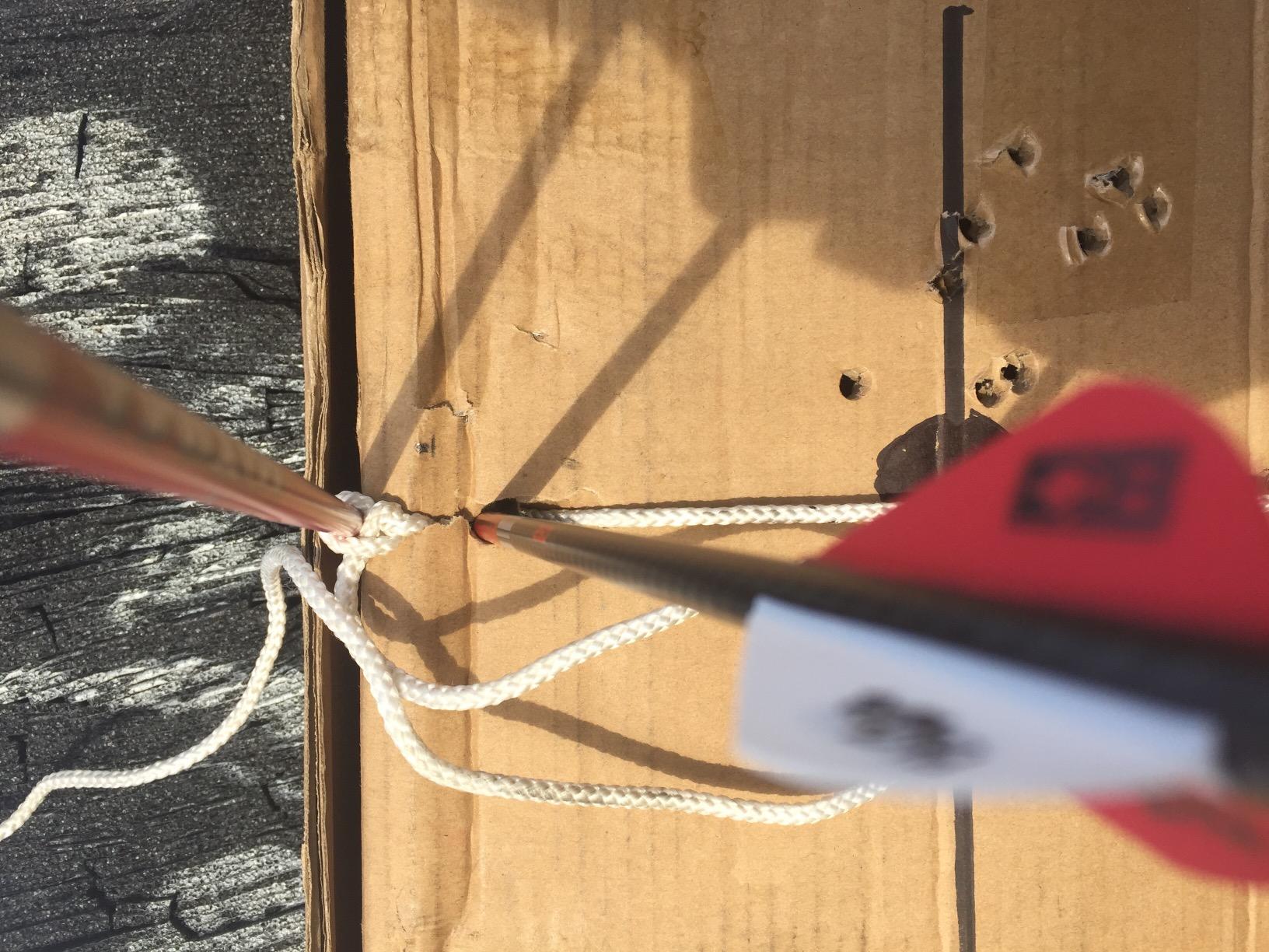 Carbon Express Maxima RED Fletched Carbon Arrows with Dynamic Spine Control and Blazer Vanes, 6-Pack, Available in 250(.400 Spine) & 350(.350 Spine) - Customer Photo 1