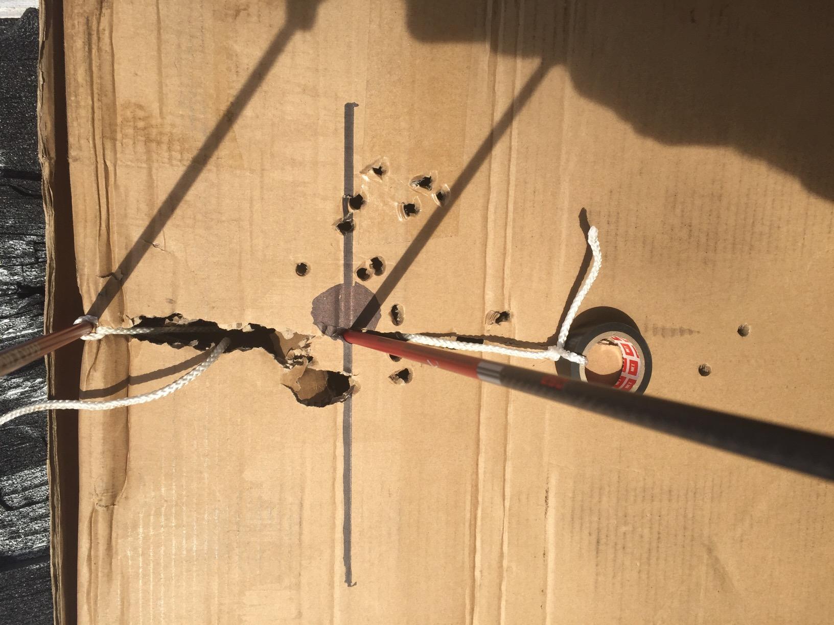 Carbon Express Maxima RED Fletched Carbon Arrows with Dynamic Spine Control and Blazer Vanes, 6-Pack, Available in 250(.400 Spine) & 350(.350 Spine) - Customer Photo 2