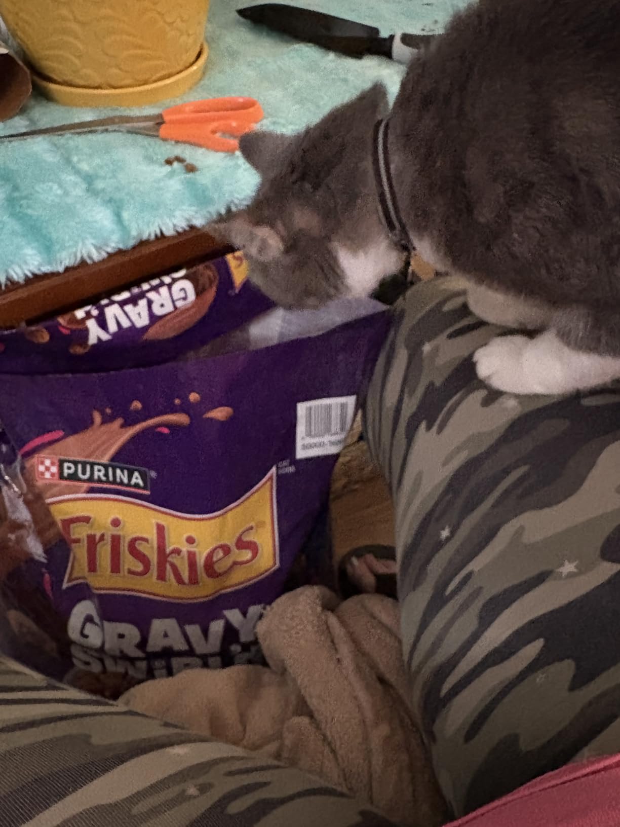 Purina Friskies Dry Cat Food Gravy Swirl'd With Flavors of Chicken, Salmon and Gravy - 16 lb. Bag Customer Review Purina Friskies Dry Cat Food Gravy Swirl'd With Flavors of Chicken, Salmon and Gravy - 16 lb. Bag - Customer Photo 3