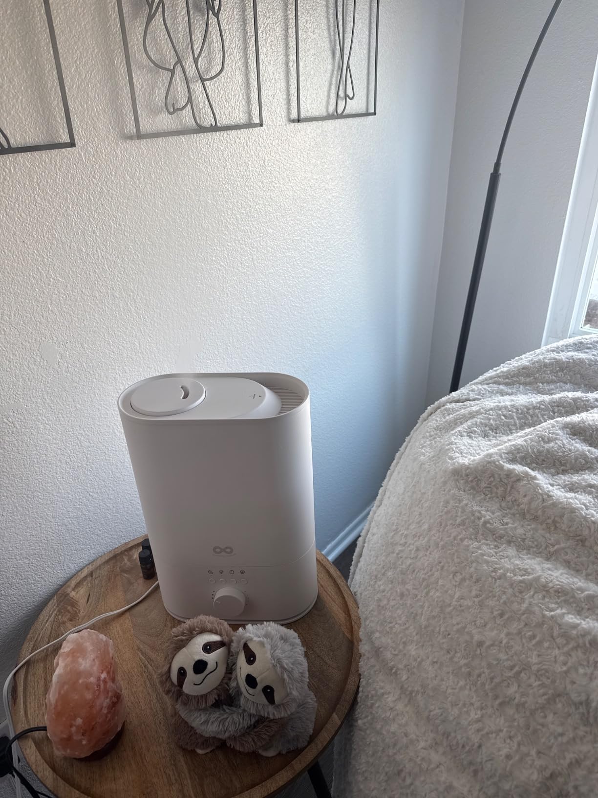 Everlasting Comfort 6L Humidifiers for Bedroom, Quiet 50HR Runtime No-Filter Supersized Cool Mist Humidifier Large Room Indoor, Whole House Air Humidifier for Plants, Baby Nursery, Allergies, Dry Skin - Customer Photo 1