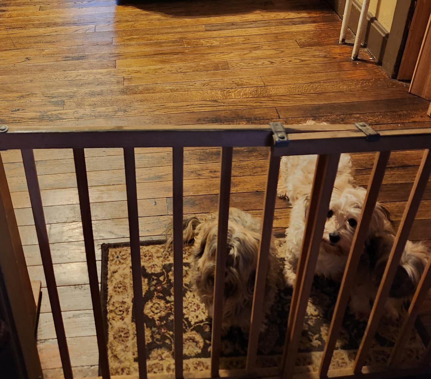 Weiman Wood Floor Polish and Restorer - 32 Ounce - High-Traffic Hardwood Floor, Natural Shine, Removes Scratches, Leaves Protective Layer, Packaging May Vary - Customer Photo 5