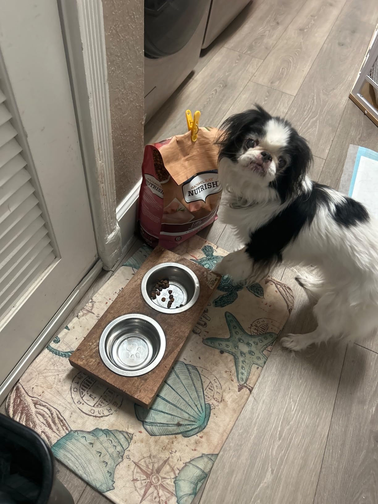 Nutrish Little Bites Small Breed Premium Natural Dry Dog Food, Real Chicken & Veggies Recipe, 6 Pounds (Packaging May Vary), (Rachael Ray Nutrish) - Customer Photo 2