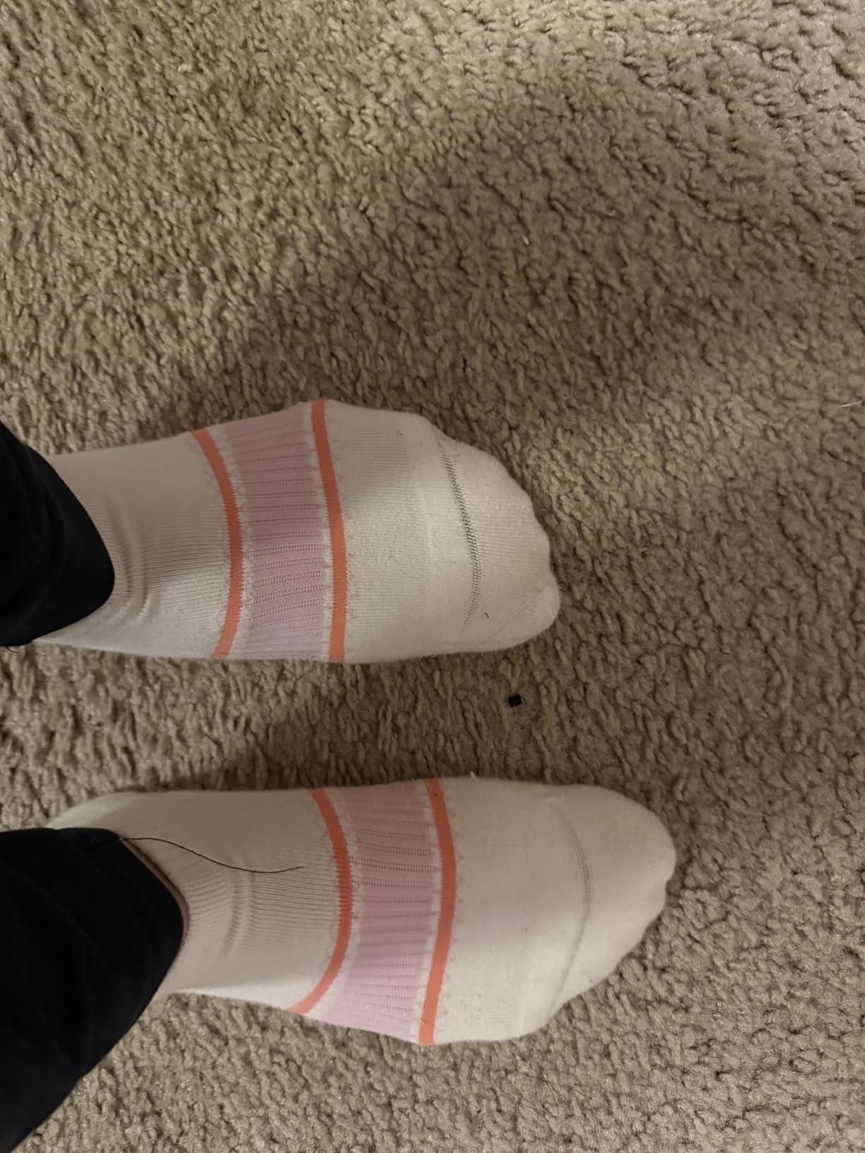 CS CELERSPORT 6 Pairs Ankle Athletic Running Socks Low Cut Sports Tab Socks for Men and Women Customer Review CS CELERSPORT 6 Pairs Ankle Athletic Running Socks Low Cut Sports Tab Socks for Men and Women - Customer Photo 2