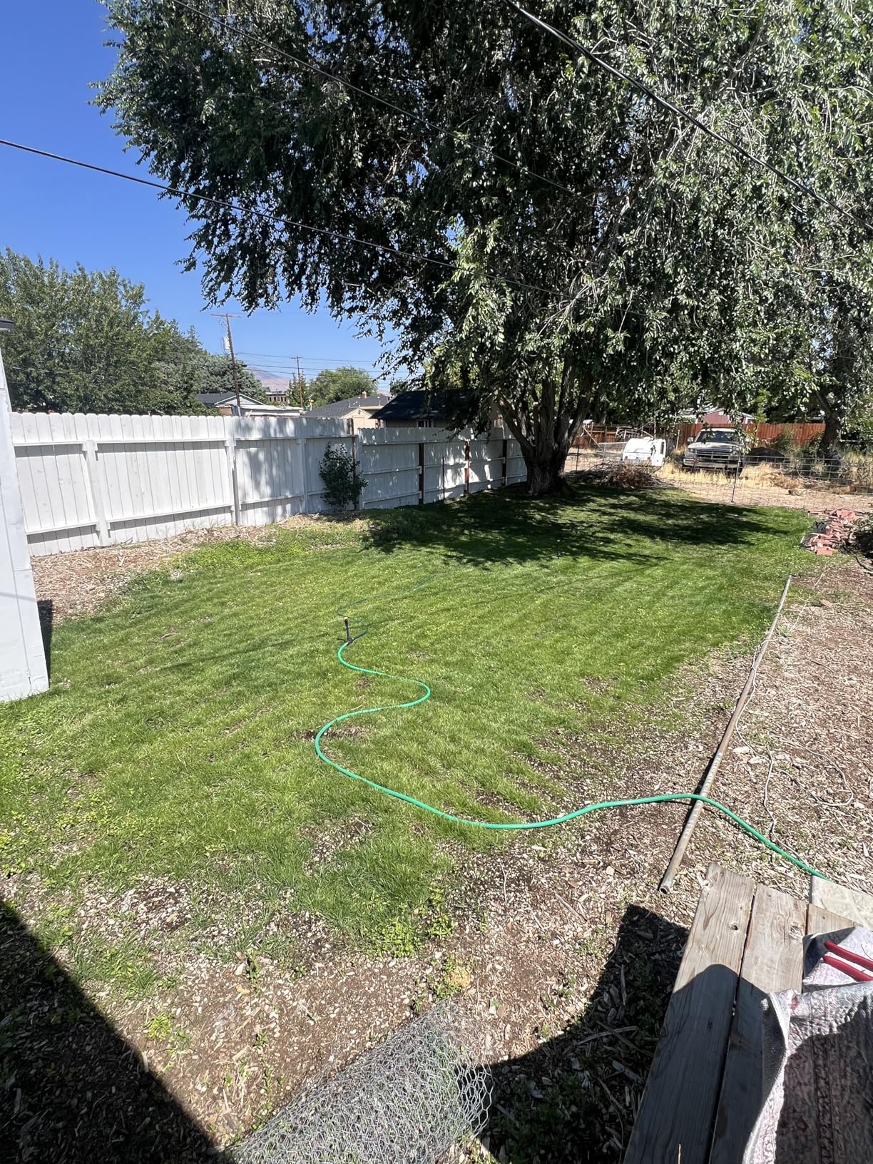 JRK Sandy Soil Grass Seed Mix - 10 lbs - Customer Photo 3