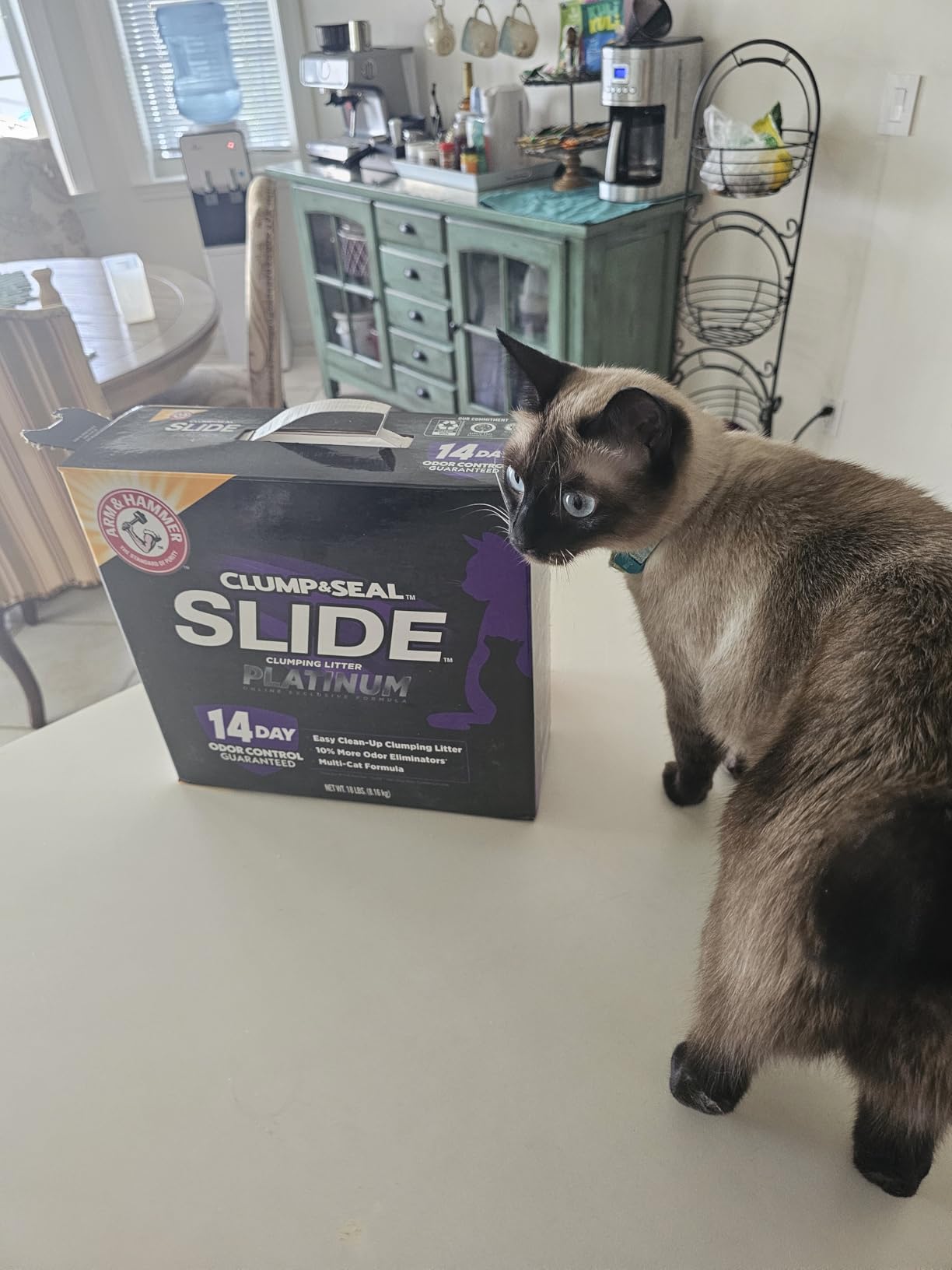 ARM & HAMMER Clump & Seal SLIDE Platinum Multi-Cat Clumping Cat Litter, 14-Day Odor Control, EZ Clean Technology, 18 lbs – No Scrubbing, Powerful Odor Eliminator - Customer Photo 1