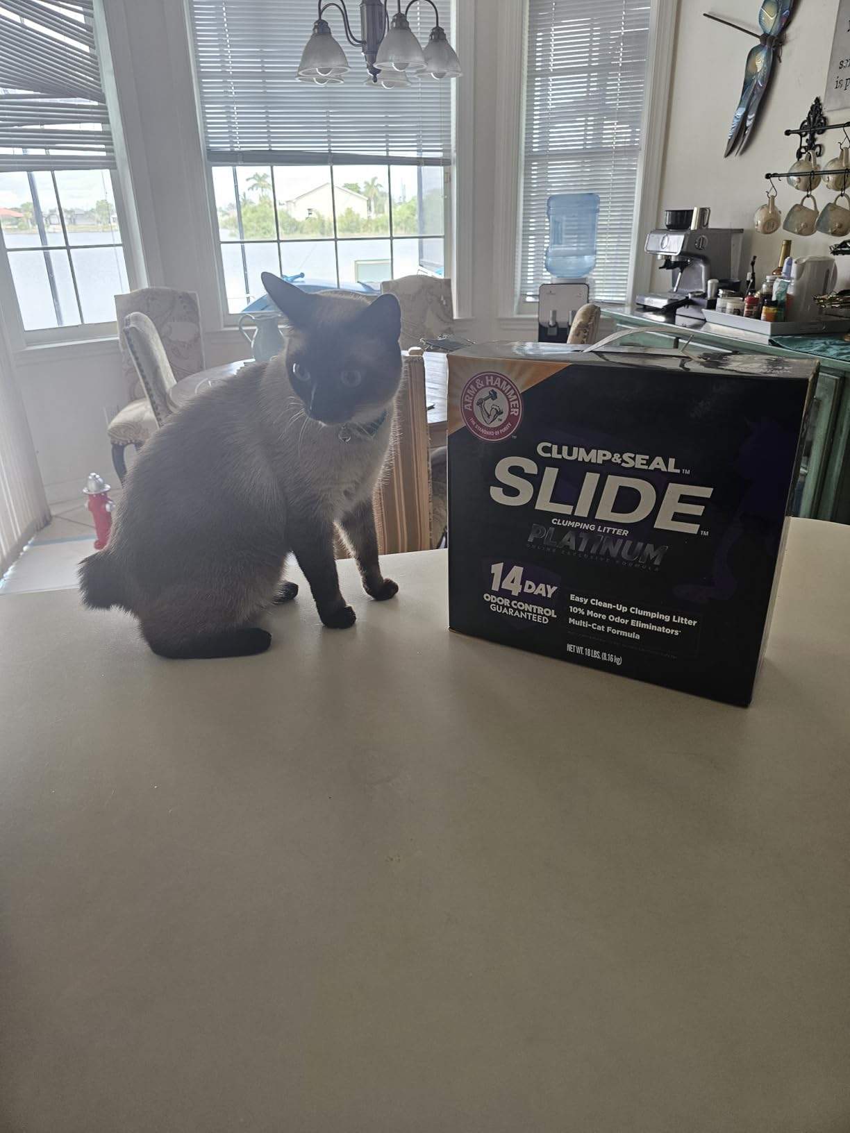ARM & HAMMER Clump & Seal SLIDE Platinum Multi-Cat Clumping Cat Litter, 14-Day Odor Control, EZ Clean Technology, 18 lbs – No Scrubbing, Powerful Odor Eliminator - Customer Photo 2