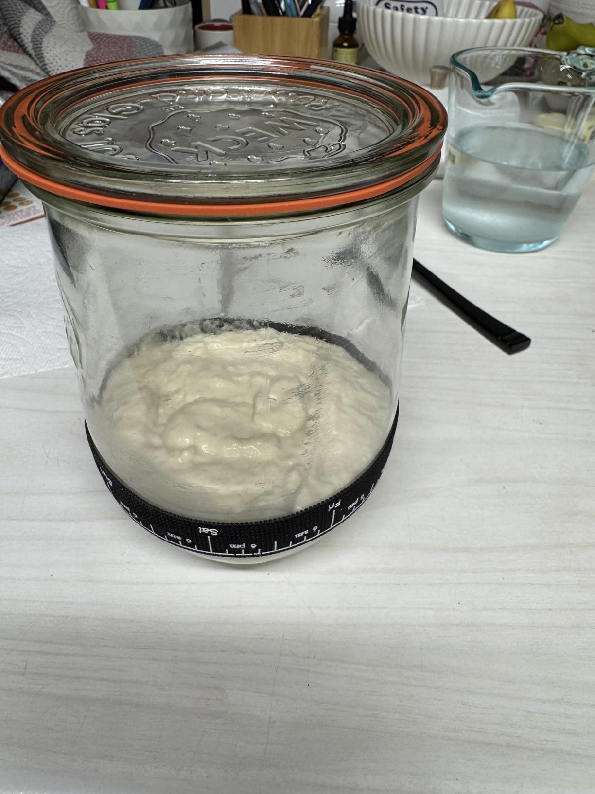 Weck Tulip Jars 1 Liter - Large Sour Dough Starter Jars with Wide Mouth - Suitable for Canning and Storage - 2 with Glass Lids - Customer Photo 2