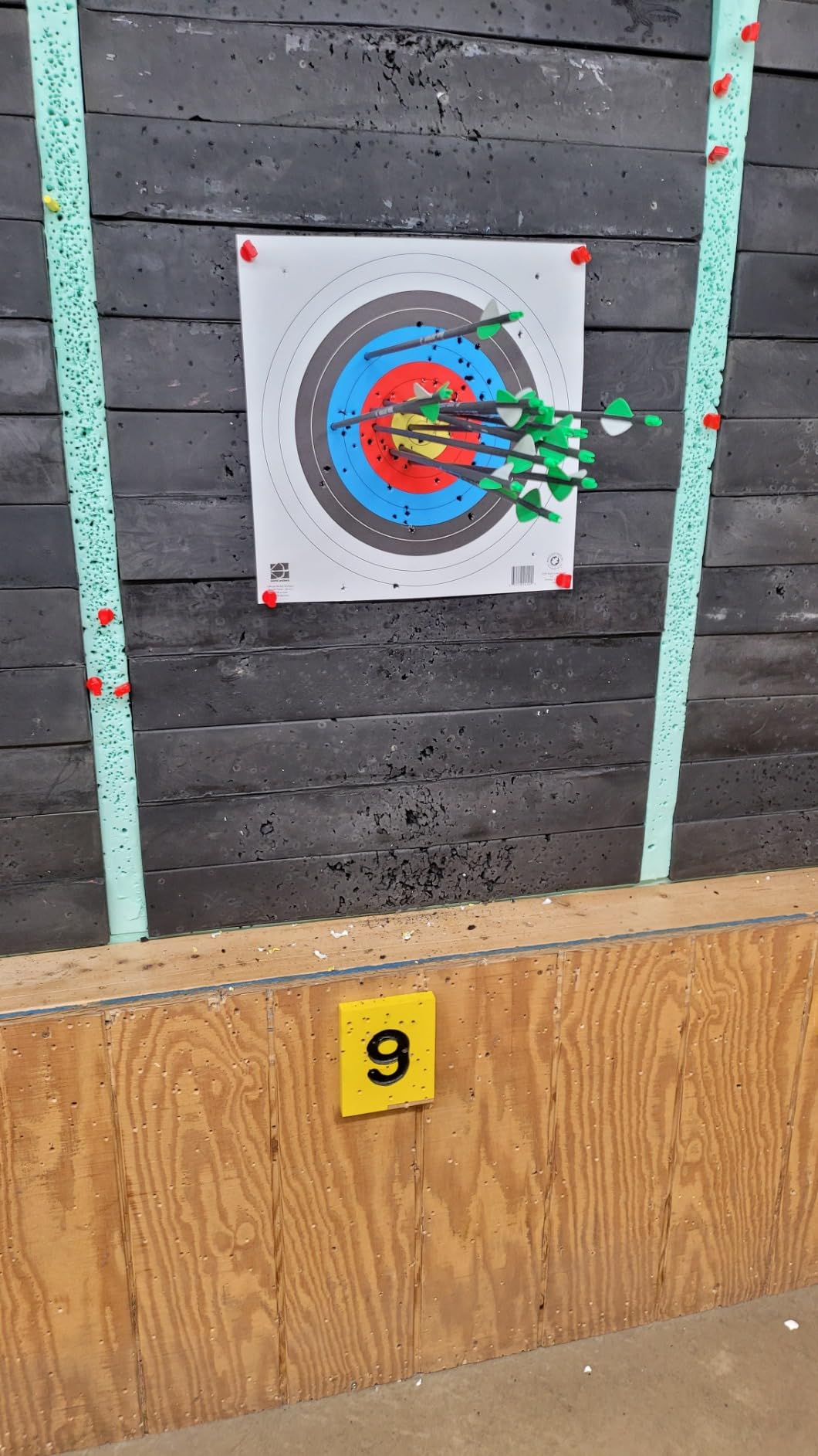 29 Inch Carbon Arrow Practice Hunting Arrows Spine 400 with Removable Tips for Archery Compound & Recurve & Traditional Bow (12 Pcs) - Customer Photo 2