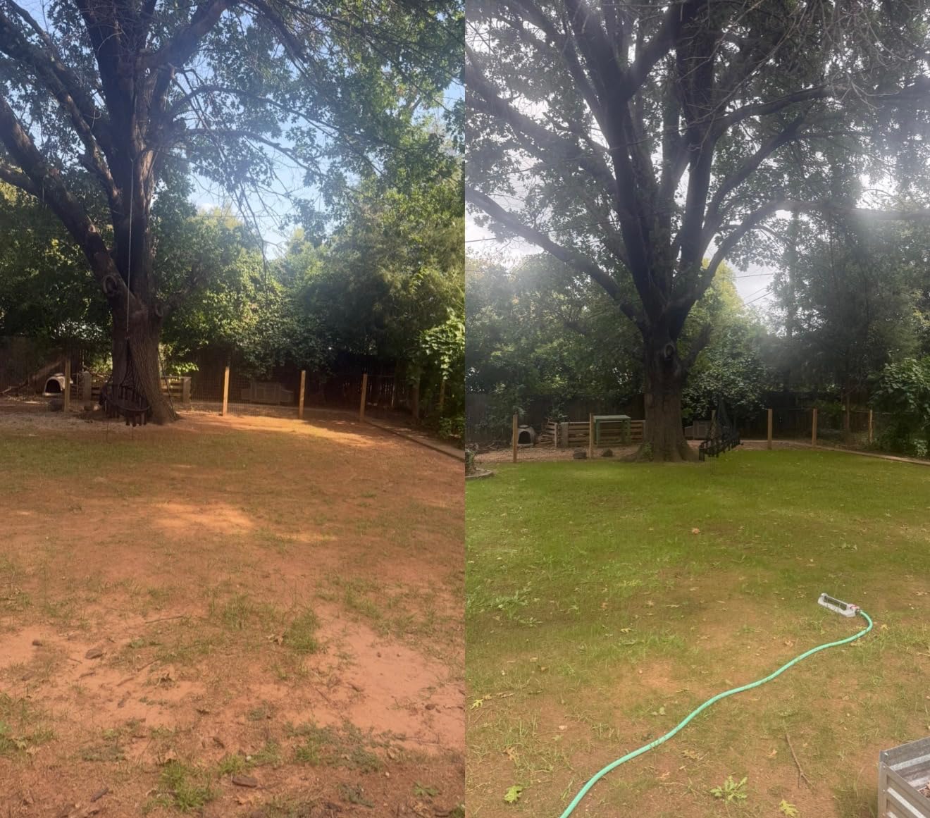 Scotts Turf Builder Rapid Grass Sun and Shade Mix, Combination Grass Seed and Fertilizer, Grows Green Grass in Just Weeks, 5.6 lbs. Customer Review Scotts Turf Builder Rapid Grass Sun and Shade Mix, Combination Grass Seed and Fertilizer, Grows Green Grass in Just Weeks, 5.6 lbs. - Customer Photo 2