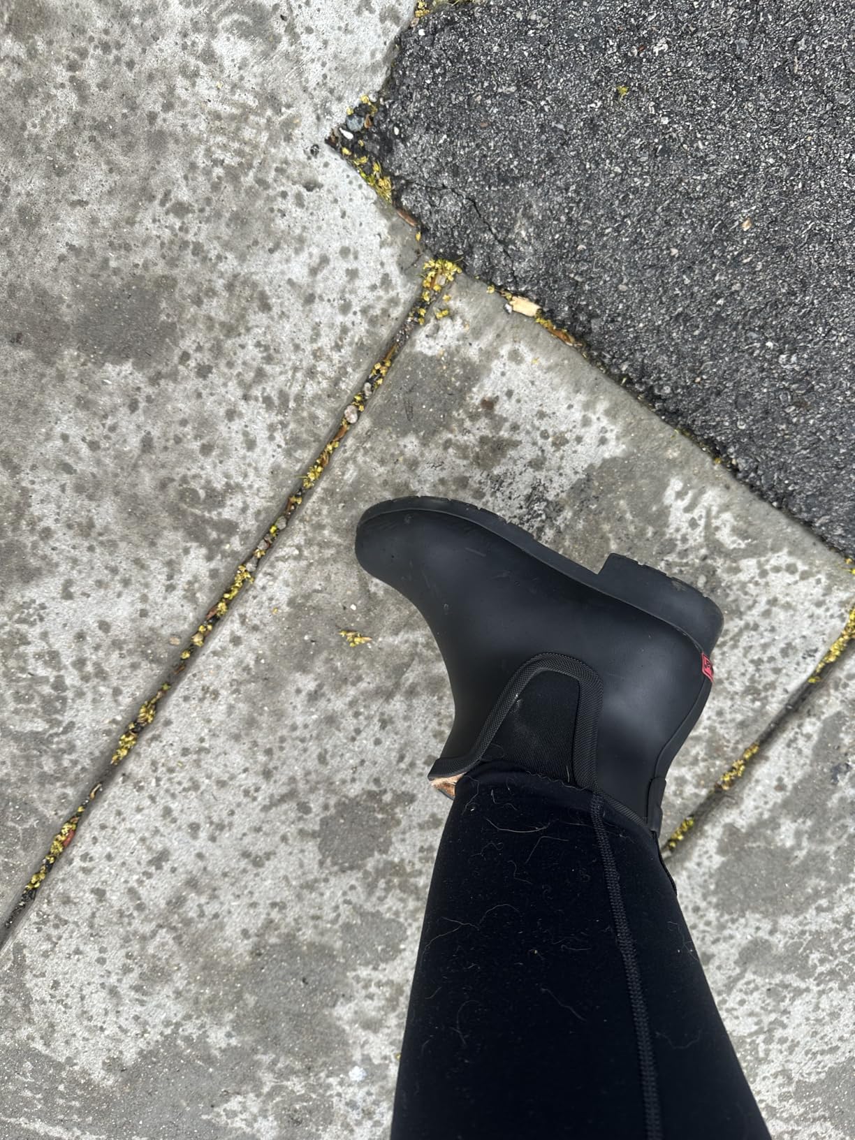 Chooka Women's Waterproof Chelsea Bootie – Plush Lined, Slip-On Rain Ankle Boots - Customer Photo 2