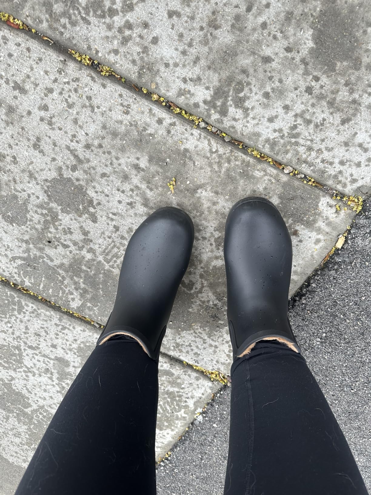 Chooka Women's Waterproof Chelsea Bootie – Plush Lined, Slip-On Rain Ankle Boots - Customer Photo 4