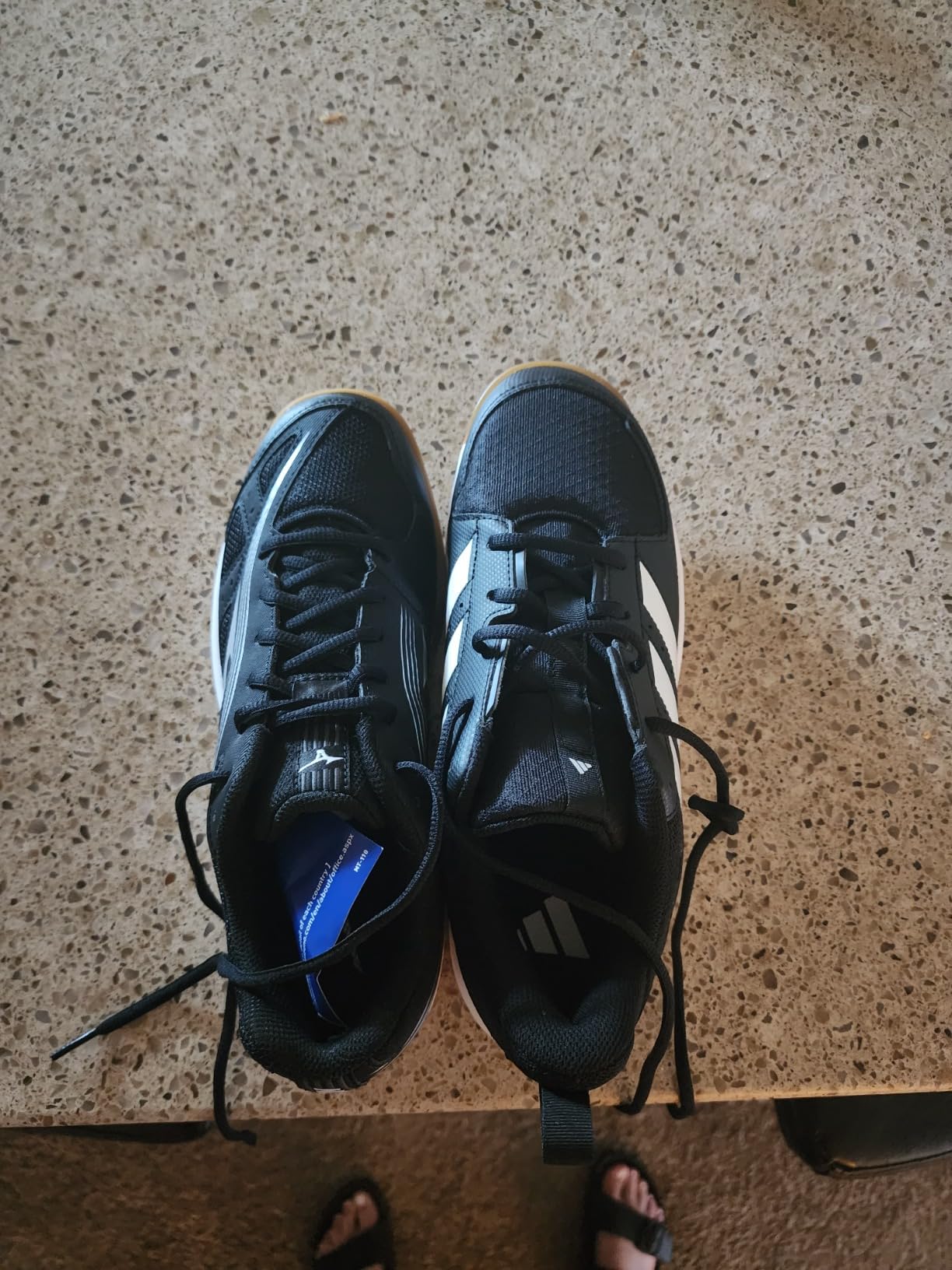 adidas Women's Ligra 7 Indoor Court Shoe Customer Review adidas Women's Ligra 7 Indoor Court Shoe - Customer Photo 2