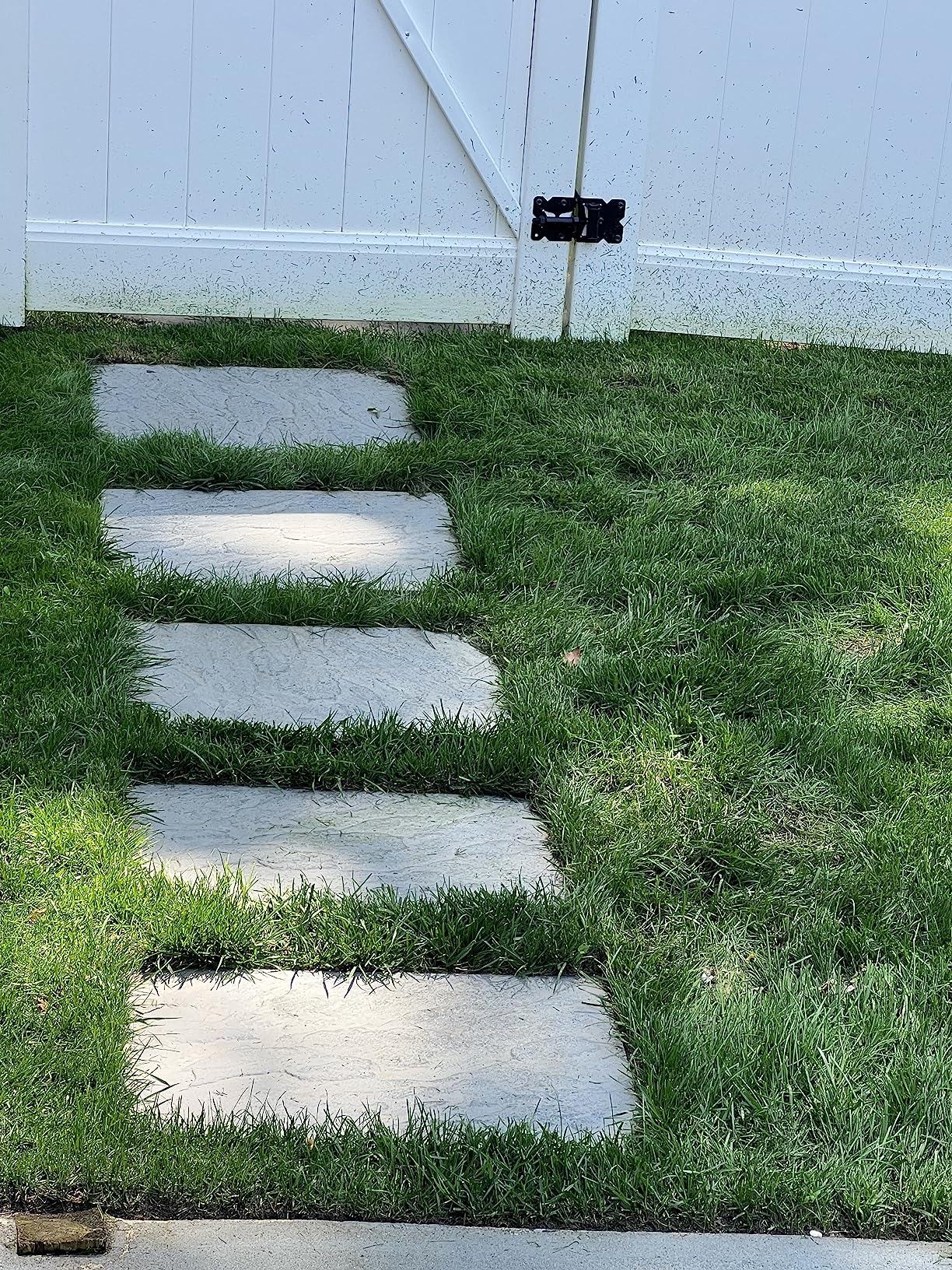 Pennington Smart Patch Dense Shade Mix 10 lb Customer Review Pennington Smart Patch Dense Shade Mix 10 lb - Customer Photo 1