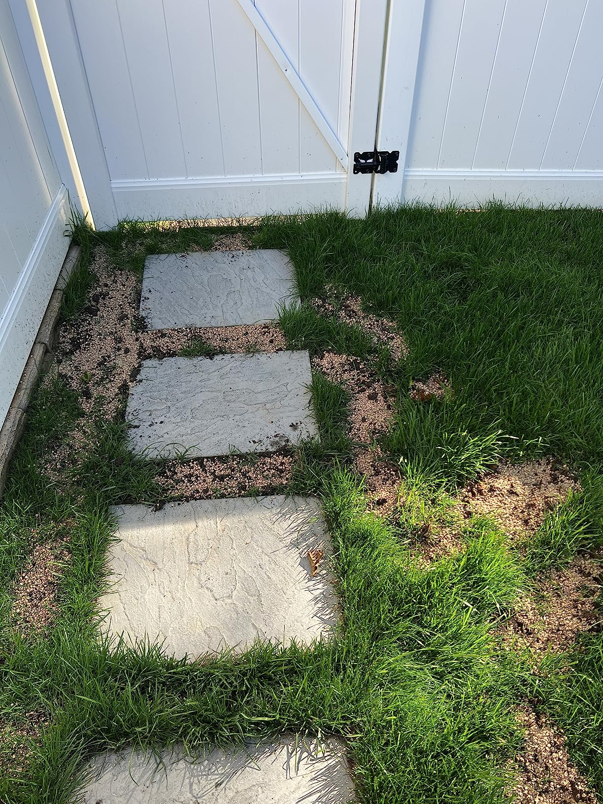 Pennington Smart Patch Dense Shade Mix 10 lb Customer Review Pennington Smart Patch Dense Shade Mix 10 lb - Customer Photo 2