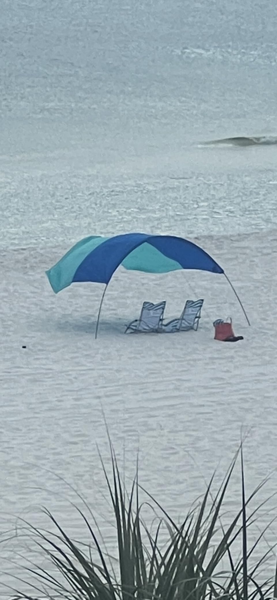 Shibumi Shade®, The Original Wind-Powered® Beach Canopy with Wind Assist Included, Provides 150 Sq. Ft. of Shade, Compact & Easy to Carry, Sets up in 3 Minutes Customer Review Shibumi Shade®, The Original Wind-Powered® Beach Canopy with Wind Assist Included, Provides 150 Sq. Ft. of Shade, Compact & Easy to Carry, Sets up in 3 Minutes - Customer Photo 3