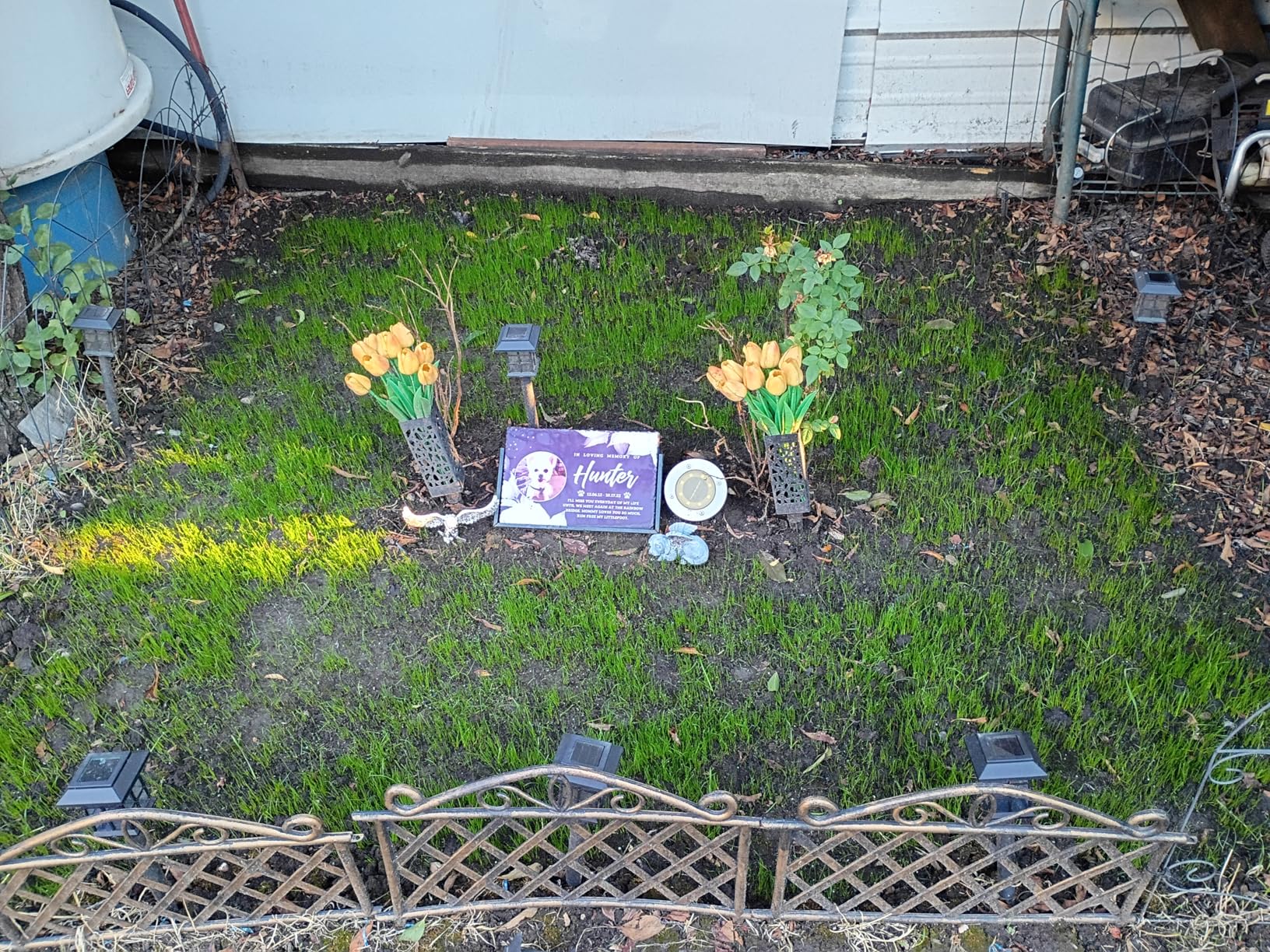 Scotts Turf Builder Grass Seed Sun & Shade Mix with Fertilizer and Soil Improver, Thrives in Many Conditions, 5.6 lbs. Customer Review Scotts Turf Builder Grass Seed Sun & Shade Mix with Fertilizer and Soil Improver, Thrives in Many Conditions, 5.6 lbs. - Customer Photo 2