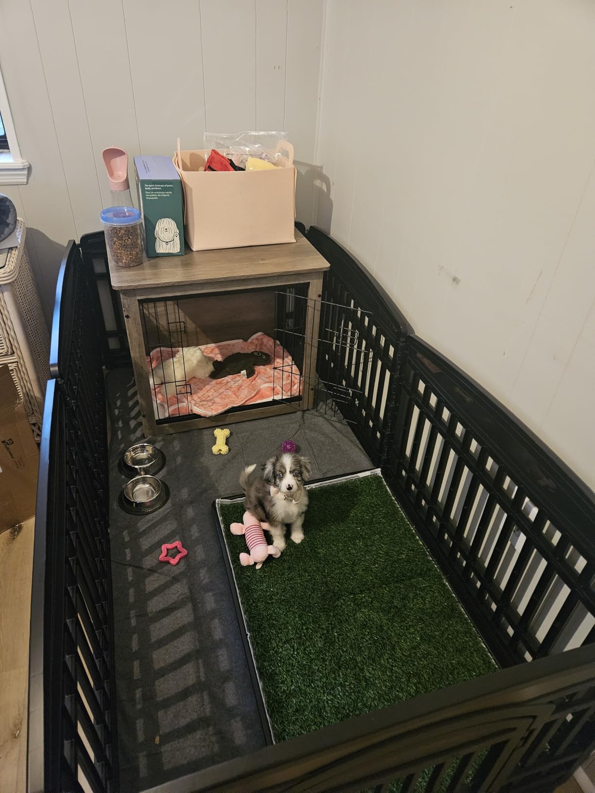 LOOBANI 45x29in Large Dog Grass Potty Tray - Dog Litter Box with 2-Pack Replacement Artificial Grass Puppy Training Pads - Potty Tray for Balcony Apartment Indoor Outdoor Use Customer Review LOOBANI 45x29in Large Dog Grass Potty Tray - Dog Litter Box with 2-Pack Replacement Artificial Grass Puppy Training Pads - Potty Tray for Balcony Apartment Indoor Outdoor Use - Customer Photo 1
