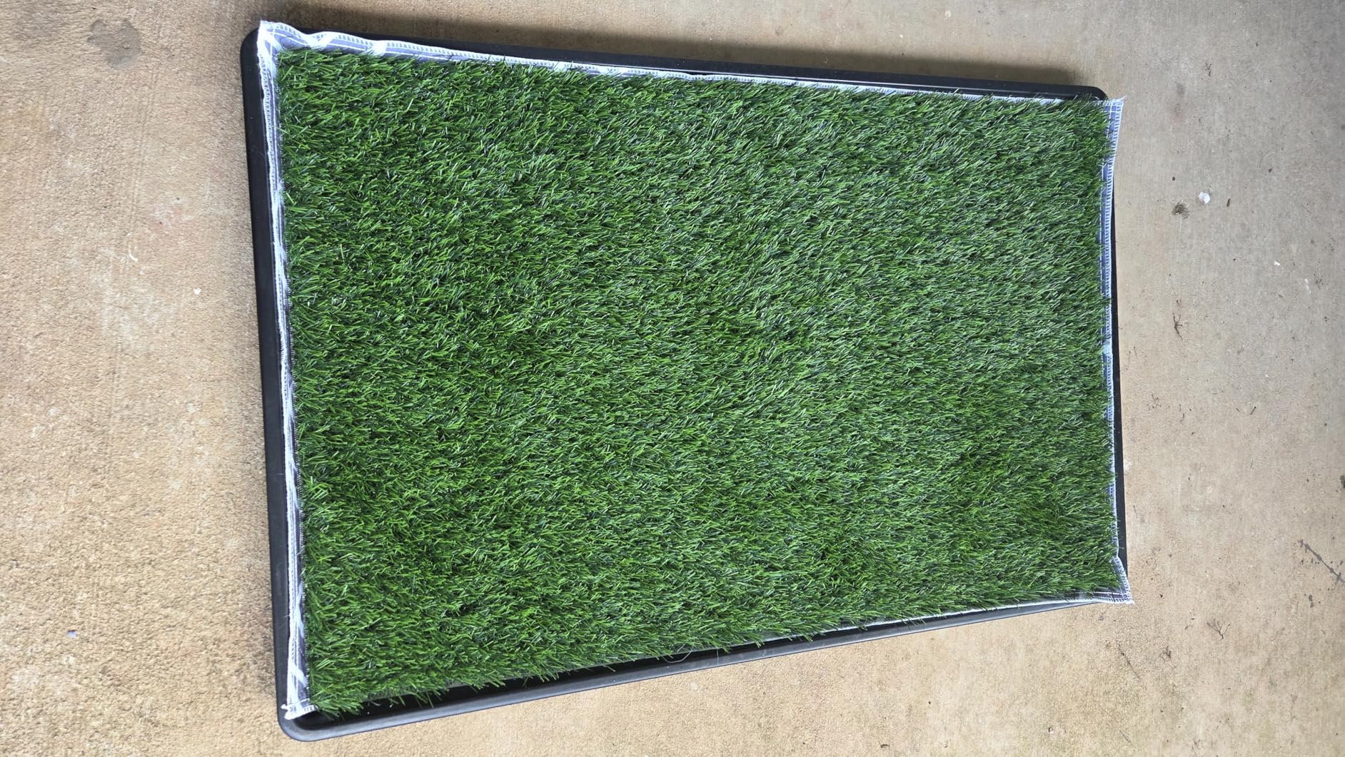 LOOBANI 45x29in Large Dog Grass Potty Tray - Dog Litter Box with 2-Pack Replacement Artificial Grass Puppy Training Pads - Potty Tray for Balcony Apartment Indoor Outdoor Use Customer Review LOOBANI 45x29in Large Dog Grass Potty Tray - Dog Litter Box with 2-Pack Replacement Artificial Grass Puppy Training Pads - Potty Tray for Balcony Apartment Indoor Outdoor Use - Customer Photo 2